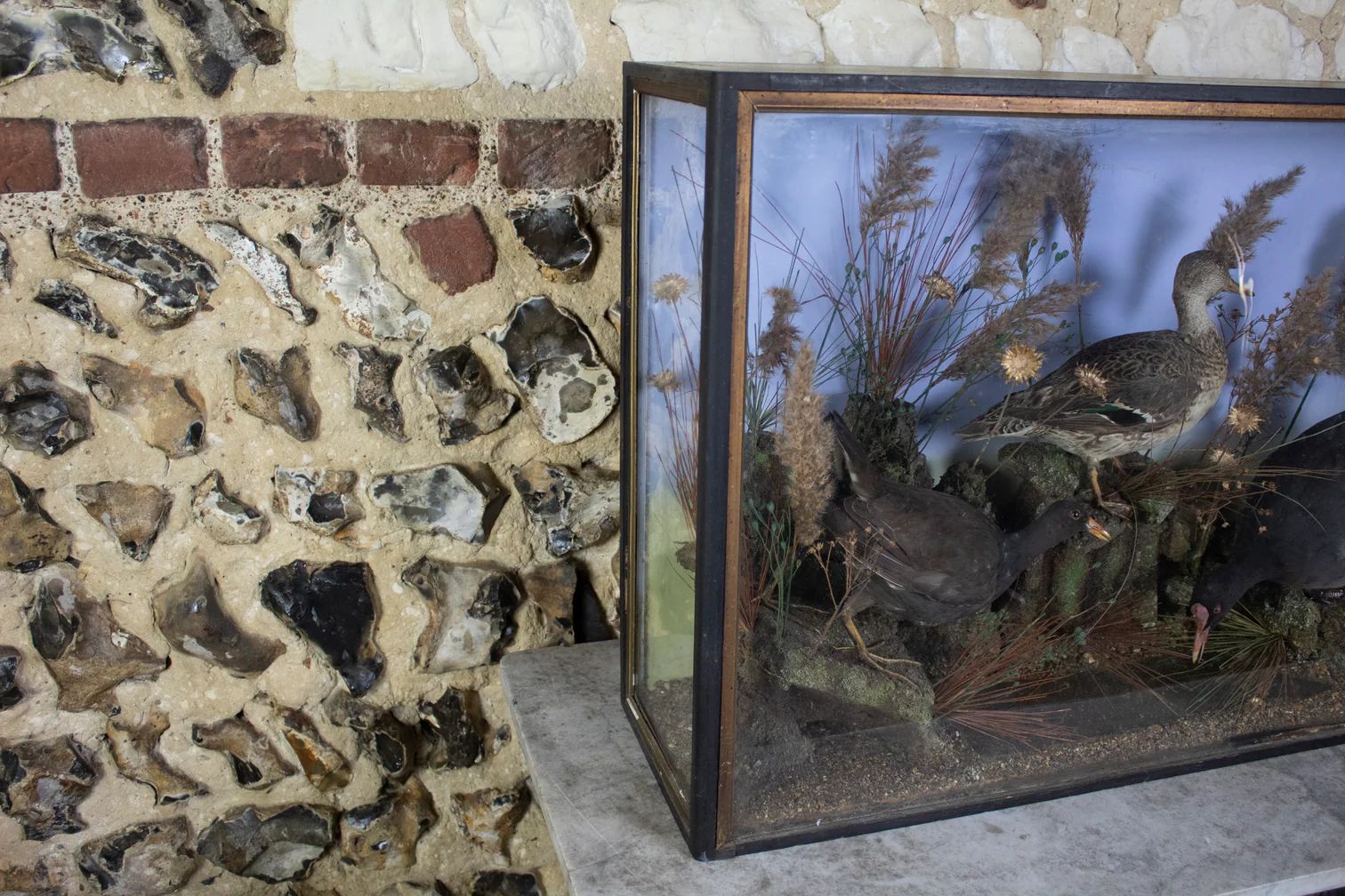 Taxidermy Water Birds photo furniture