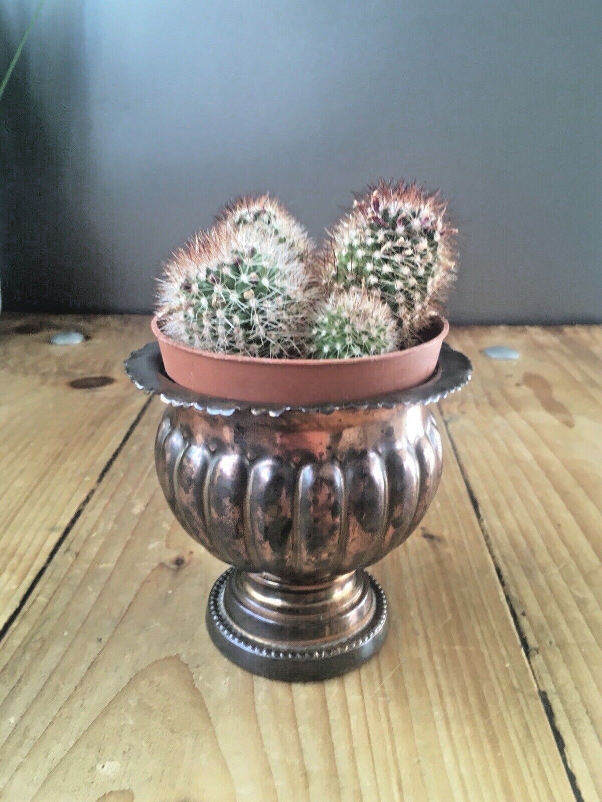 Small Antique Copper Pedestal Urn Planter Plant Pot Queen Anne Reeded Gadrooned