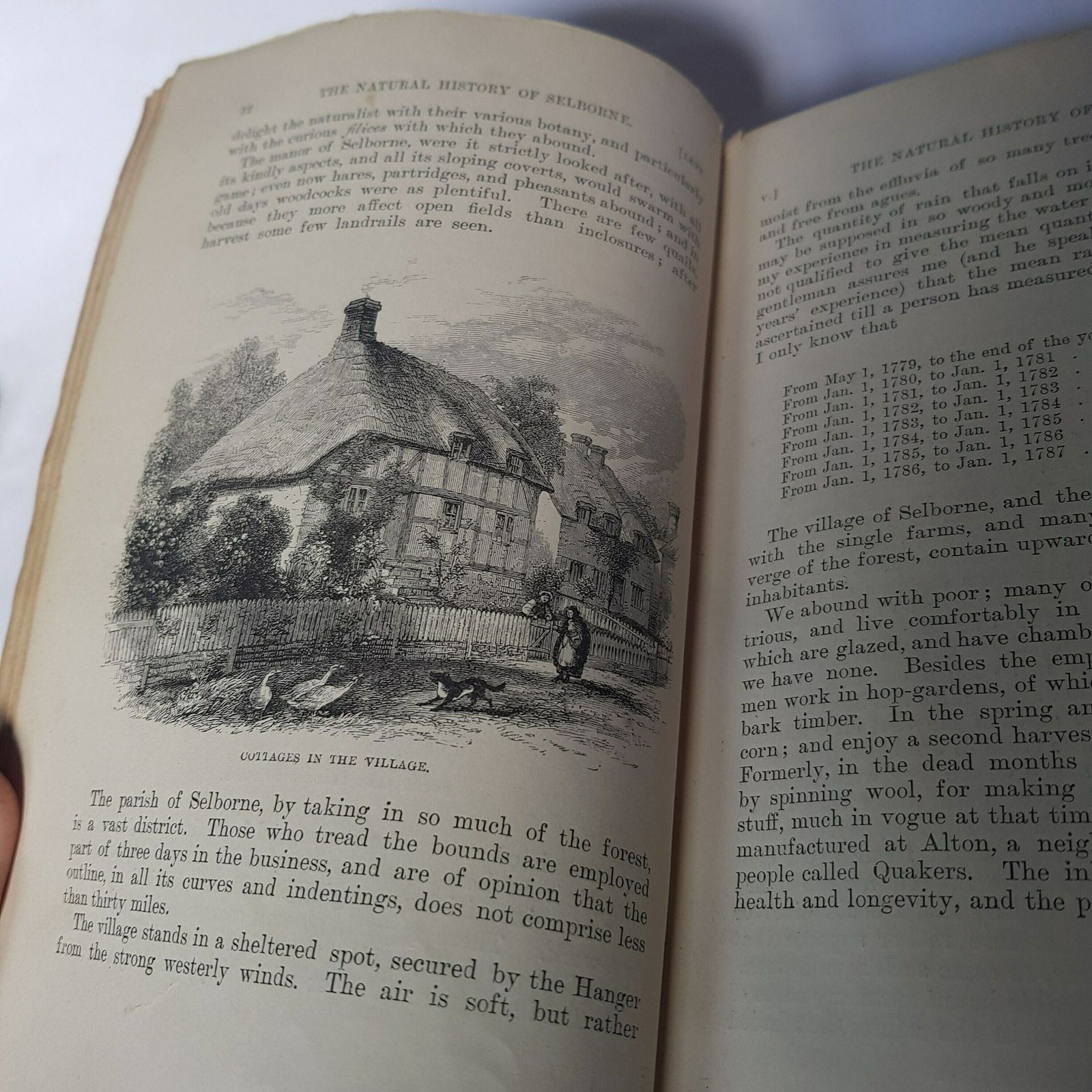The Natural History Of Selborne By Gilbert White 1887 Edition, Natural History Classic photo vintage