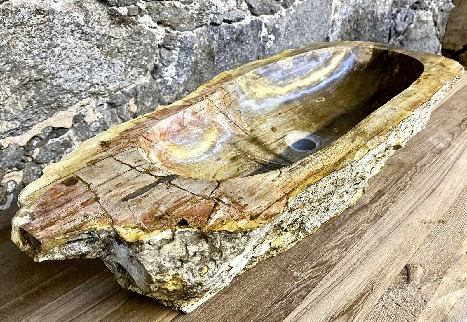 Petrified Wood Sink Beige/ Yellow & Brown Tones, Organic Modern   Top Quality photo vintage