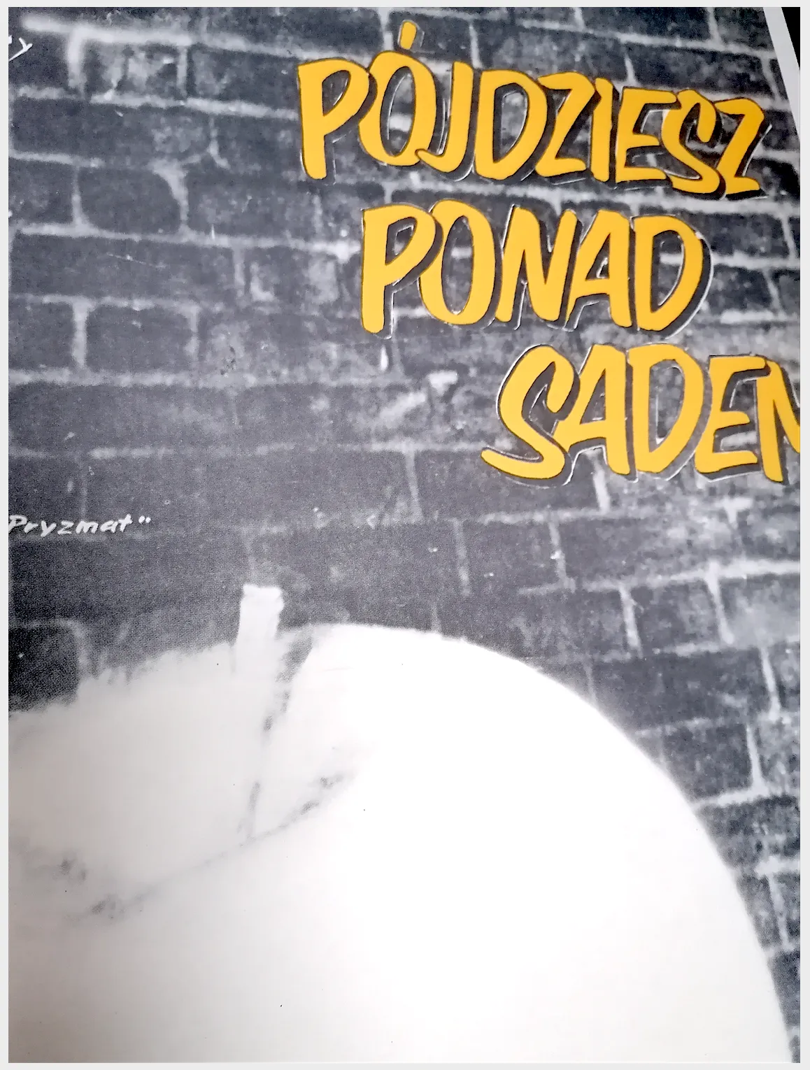 Framed, Poaster Pójdziesz Ponad Sadem (You Go Over Orchard) photo furniture
