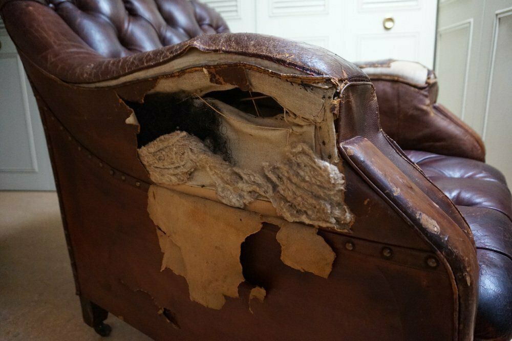 Gentlemans Armchair In Distressed Leather, 1840s photo vinterior