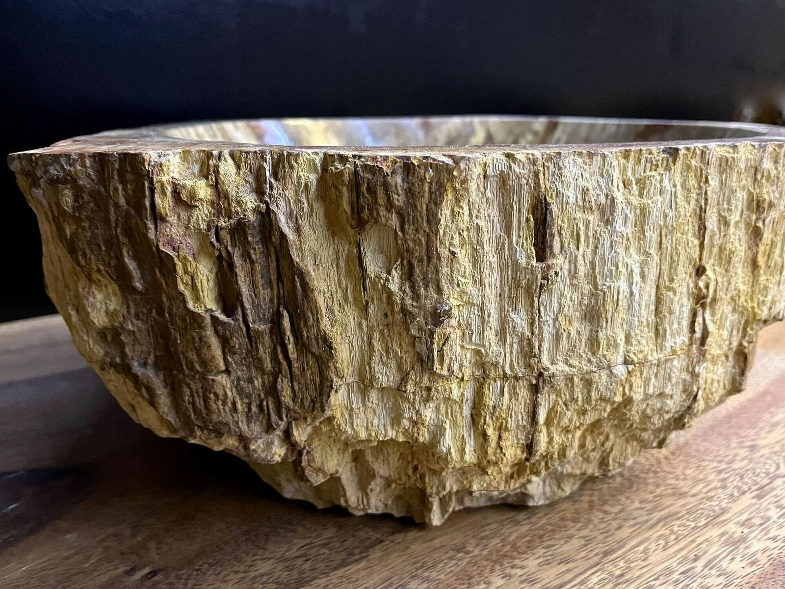 Petrified Wood Sink In Beige/ Brown/ Yellow Tones   Polished, Top Quality, Idn photo vintage
