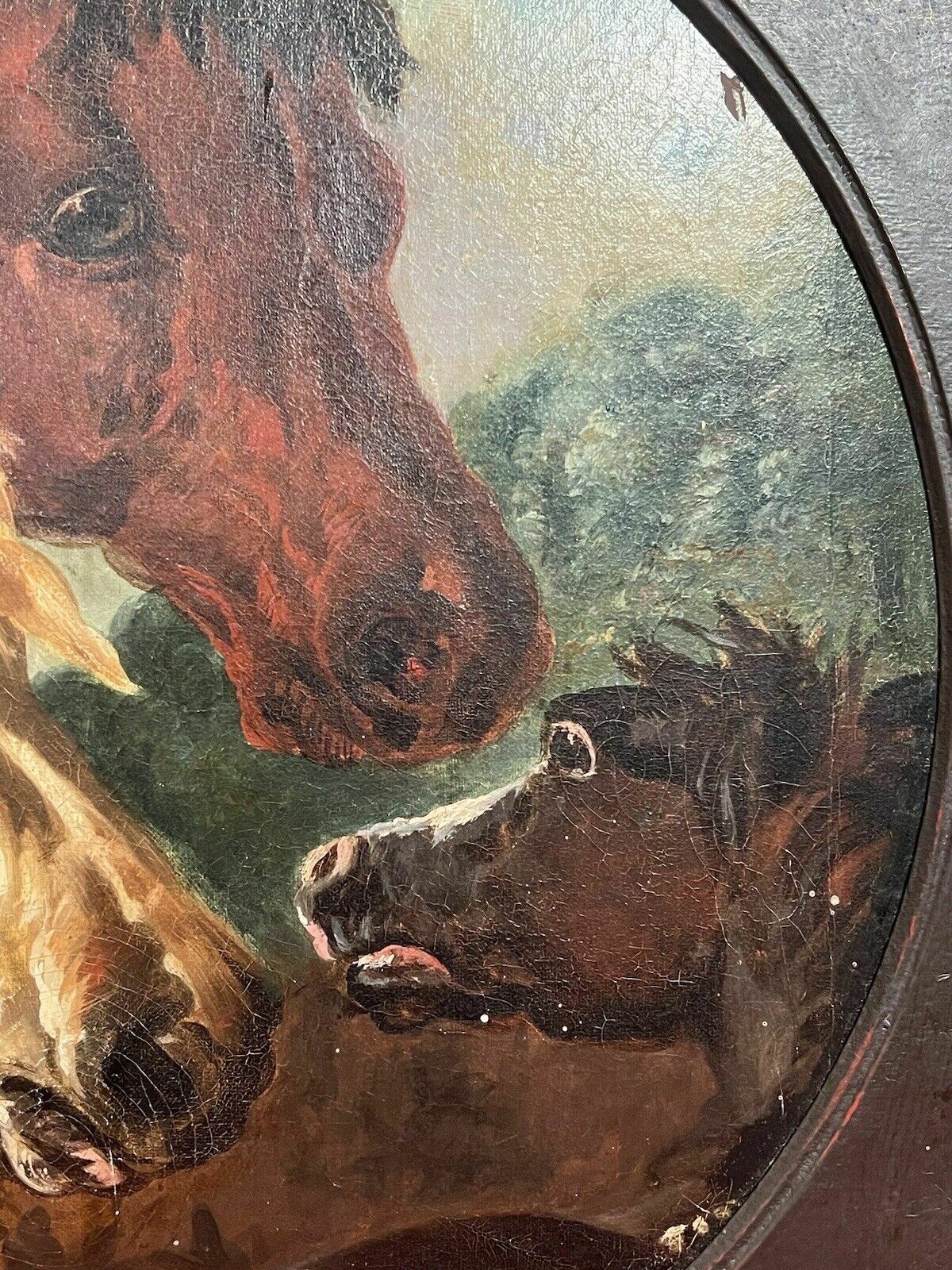 Fine Art 19th Century Trio Of Horses Attributed To John Frederick Herring photo vinterior