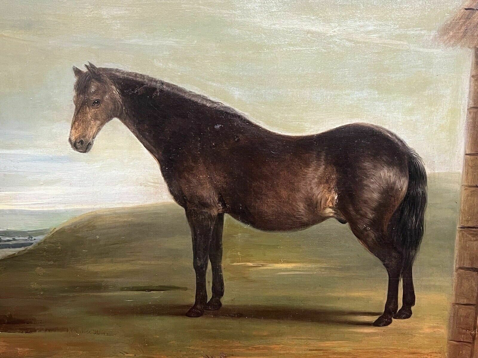 19th Century Oil Painting Of Chestnut Horse By Stable Signed J Carr Pinnit photo buy