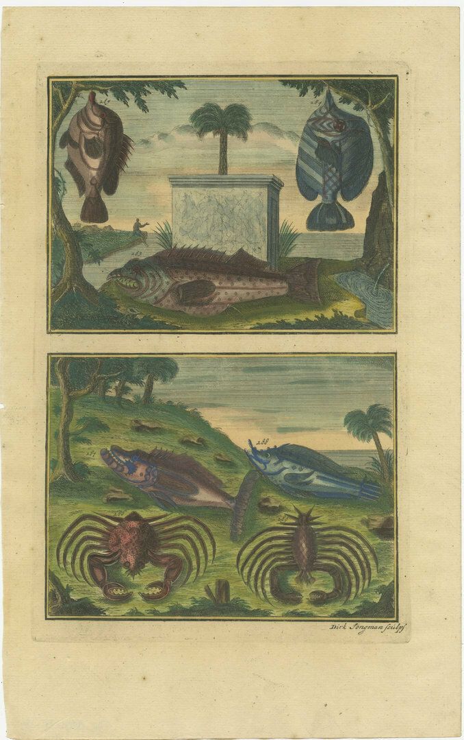 Set Of 8 Colo Red Antique Prints Of Various Fishes And Crustaceans photo vintage