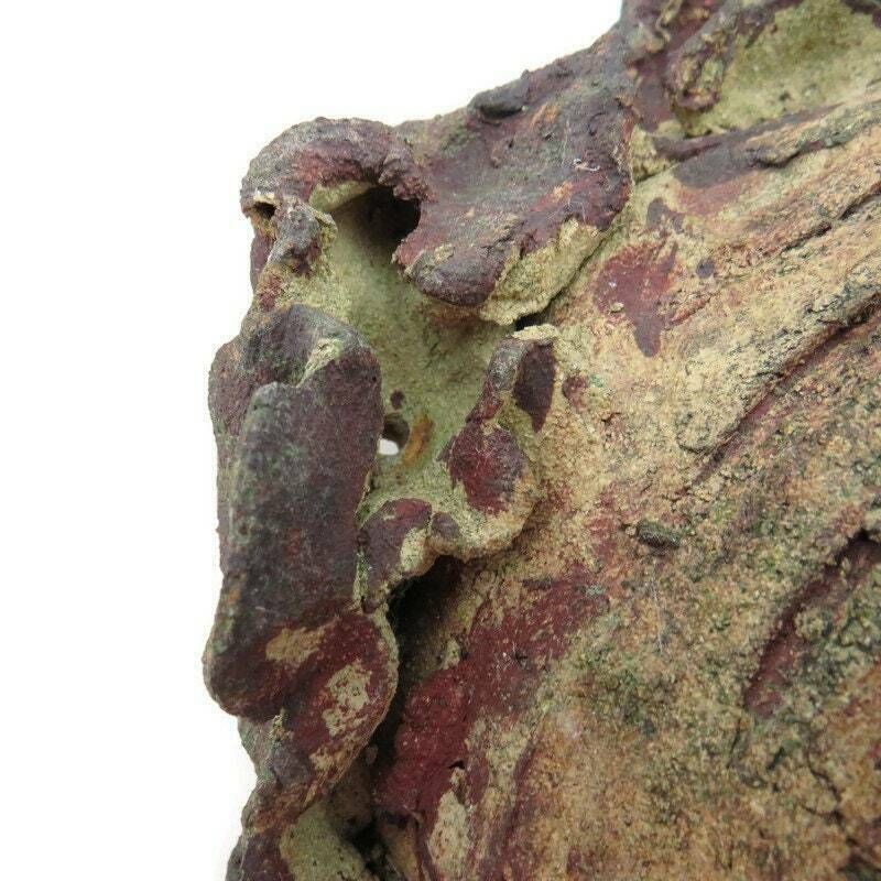 Large Grotesque Male Face Sculpture Mask 16'' H.Bizarre Ugly Face Sculpture photo buy