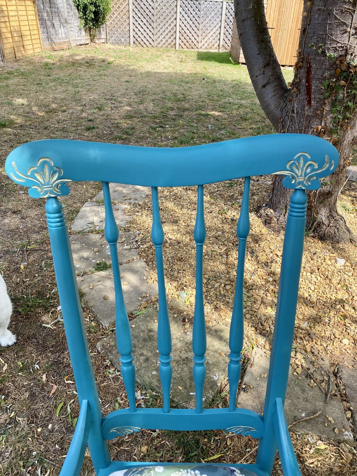Peacock Chair photo furniture