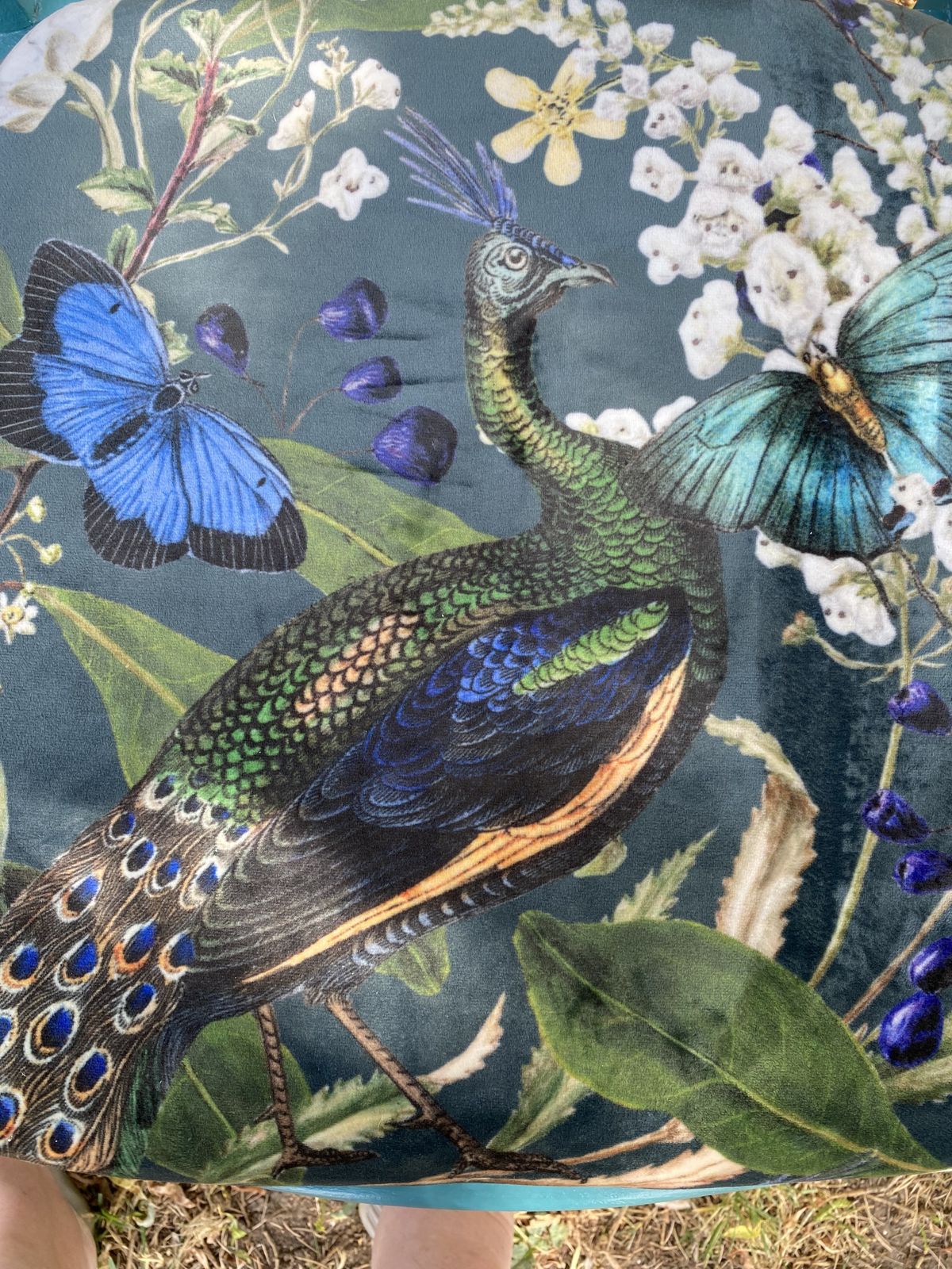 Peacock Chair photo buy