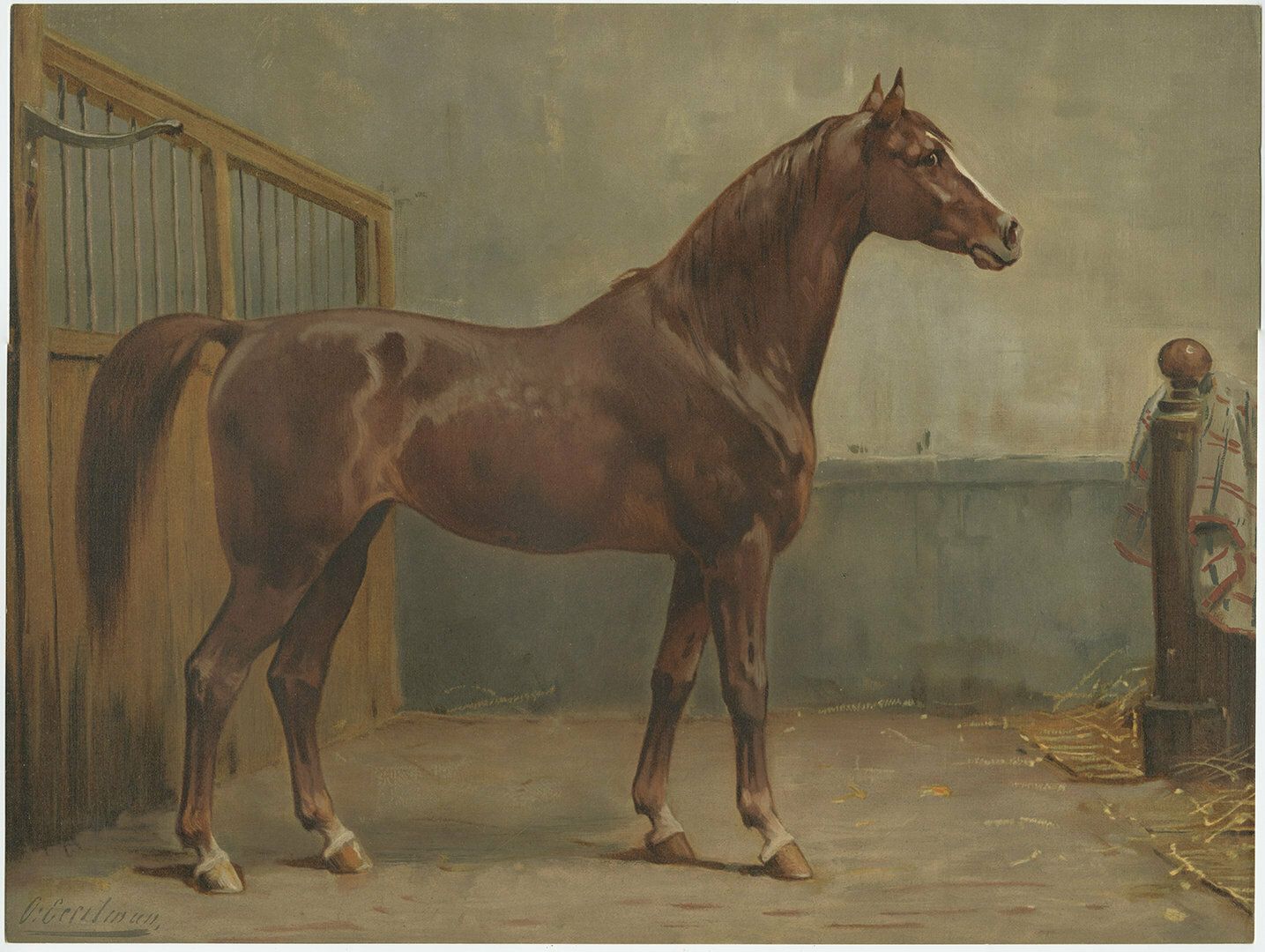 Antique Oleograph Of The Hanoverian Horse