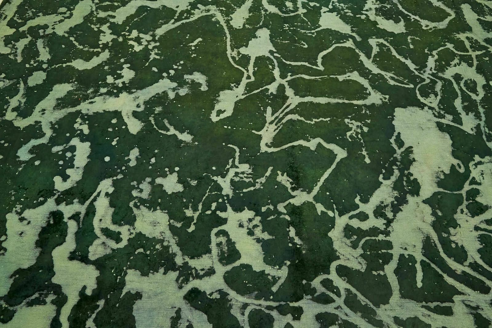 photo for sale Handmade Green Overdyed Large Area Rug  374 Cm X 262 Cm