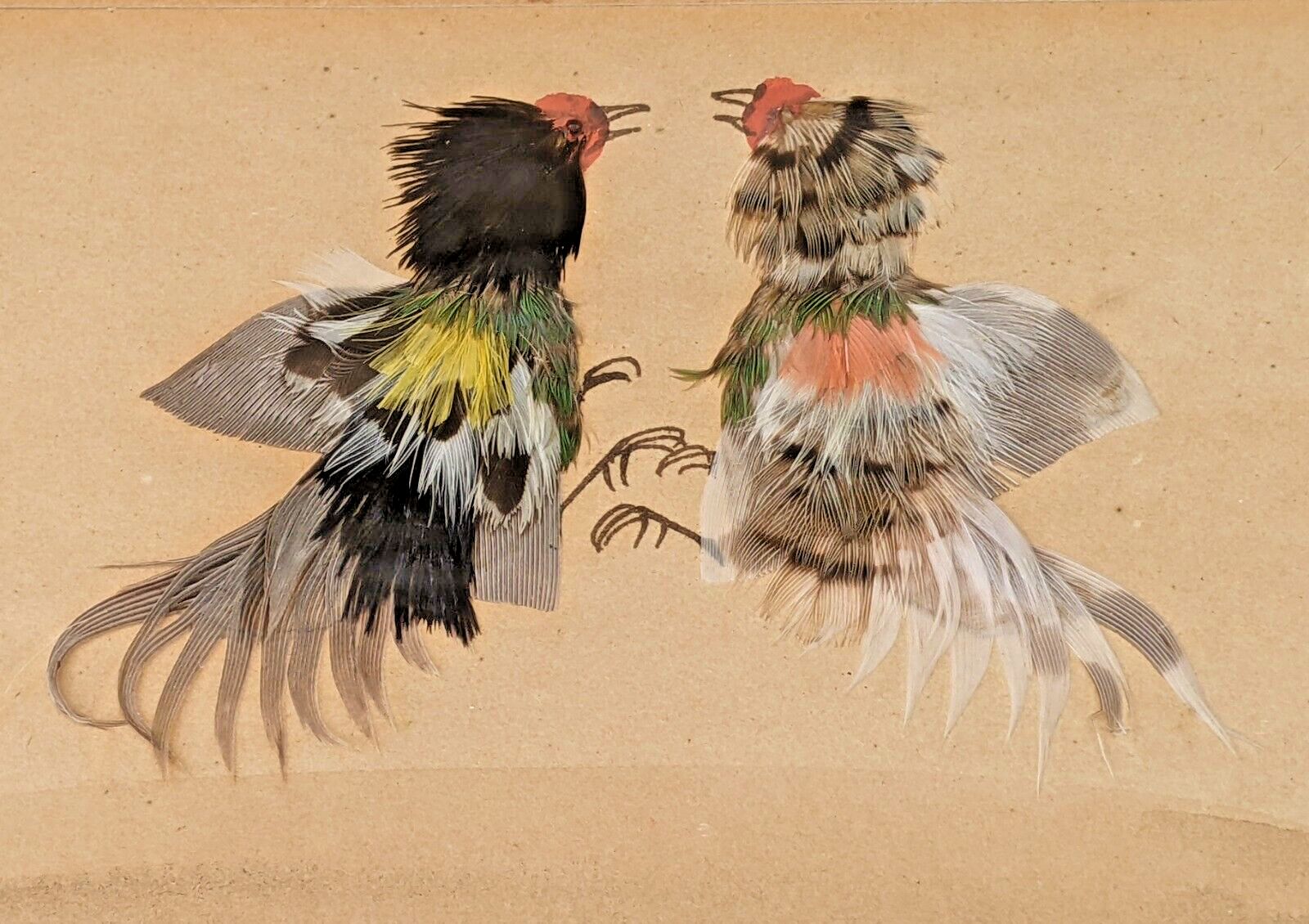 Feather Work Study Cockfighting Pictures photo furniture