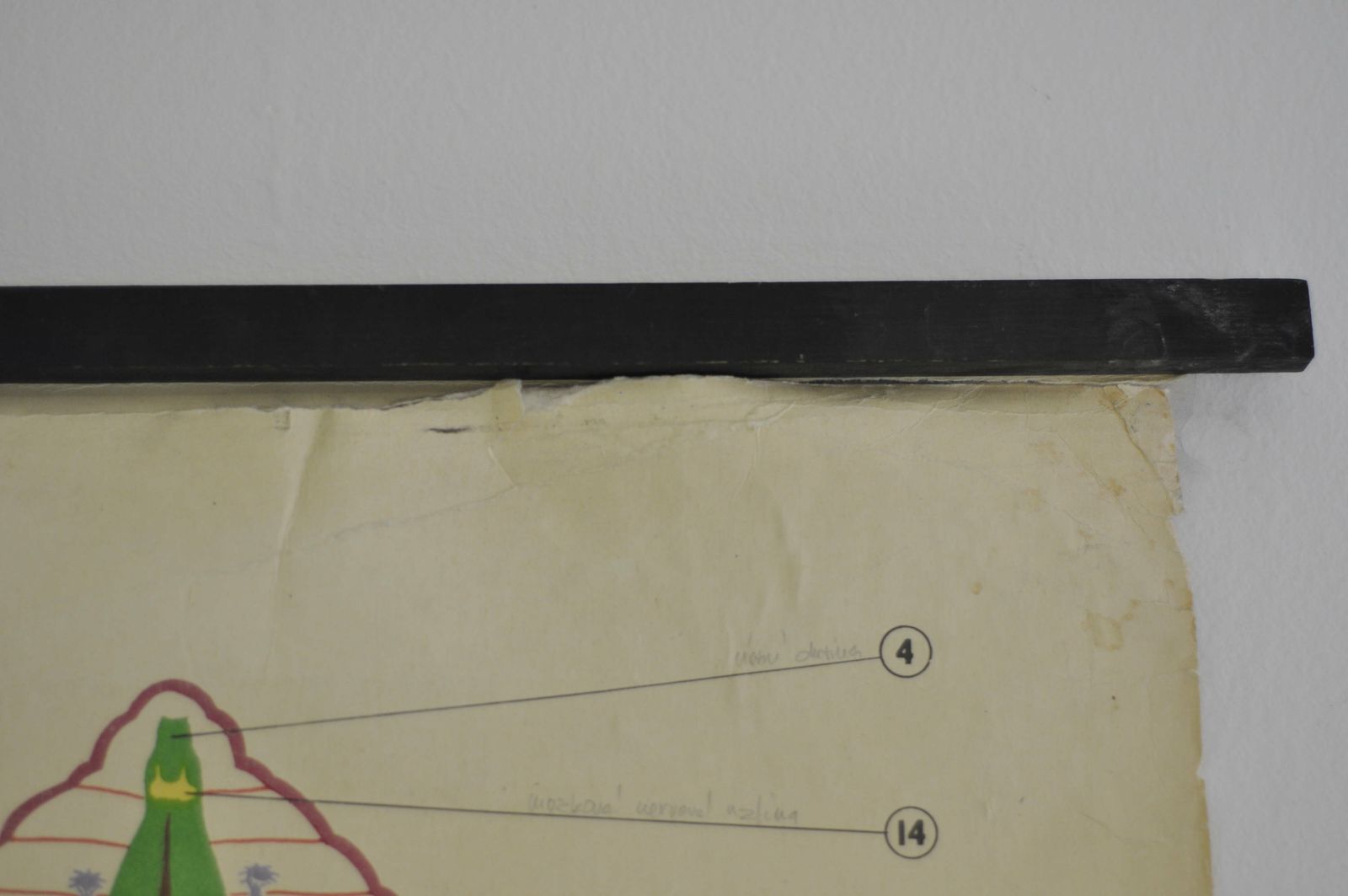 Eartworm School Chart, Pull Down Chart, School Pull Down Chart, Vintage School Chart, School Chart, School Pull Down, School Poster, School photo Art