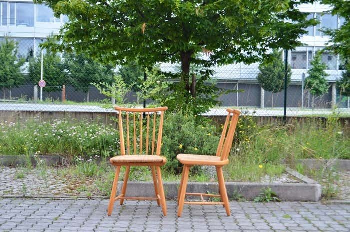 Germany Dining Chairs Wk Möbel Arno Lambrecht Wks Series 1950 Set Of 4 photo vintage