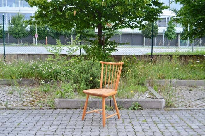 photo furniture Germany Dining Chairs Wk Möbel Arno Lambrecht Wks Series 1950 Set Of 4