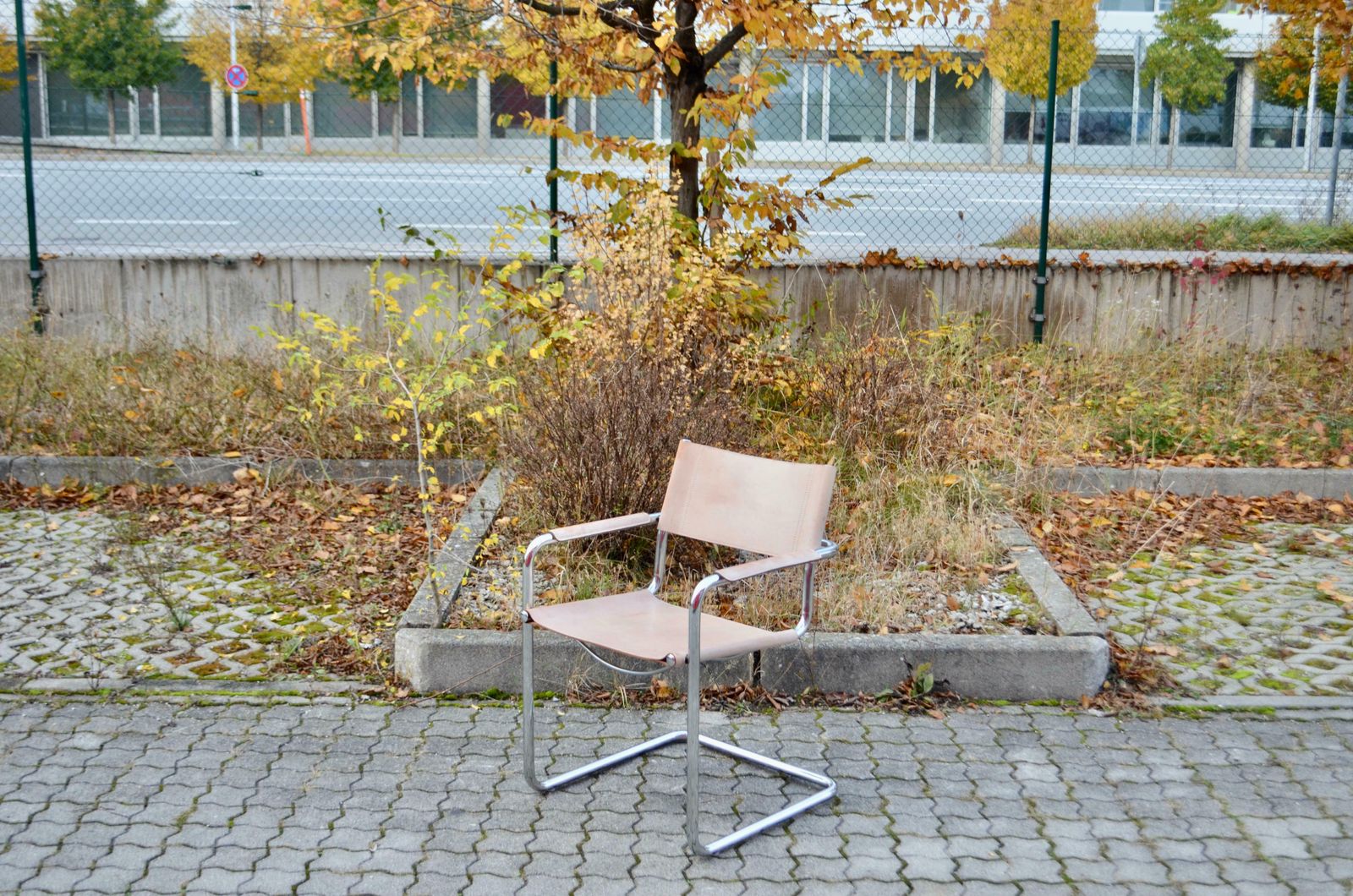 photo furniture Matteo Grassi Cantilever Mg Skin Coloured Leather Chair By Centro Studi