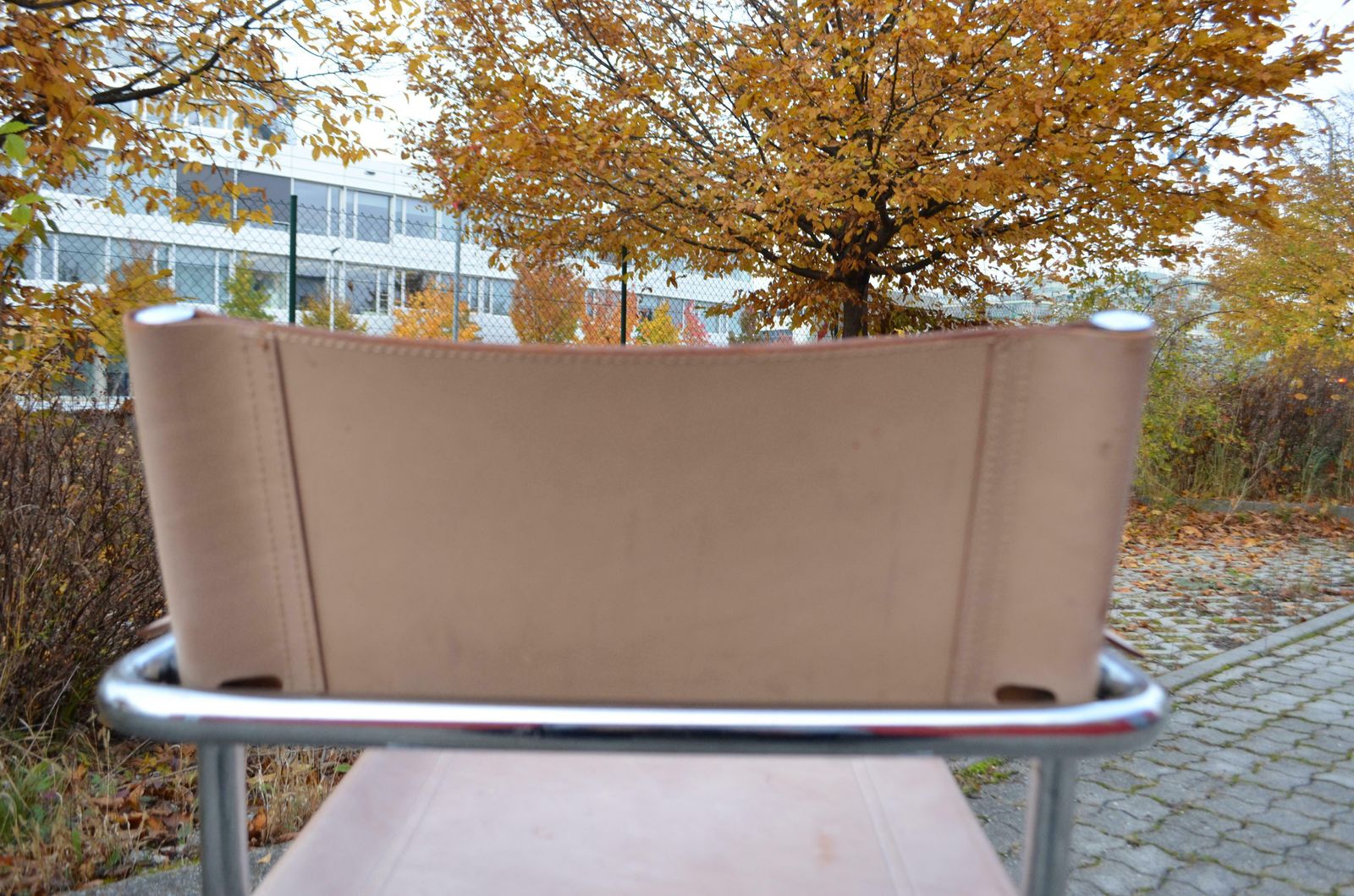 Furniture Matteo Grassi Cantilever Mg Skin Coloured Leather Chair By Centro Studi photo