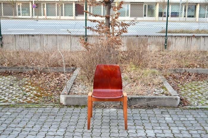 Mid Century Bentwood Plywood Chairs Stackable By Royal Germany Set Of 4 photo buy