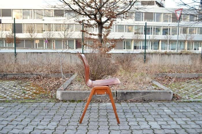 photo furniture Mid Century Bentwood Plywood Chairs Stackable By Royal Germany Set Of 4
