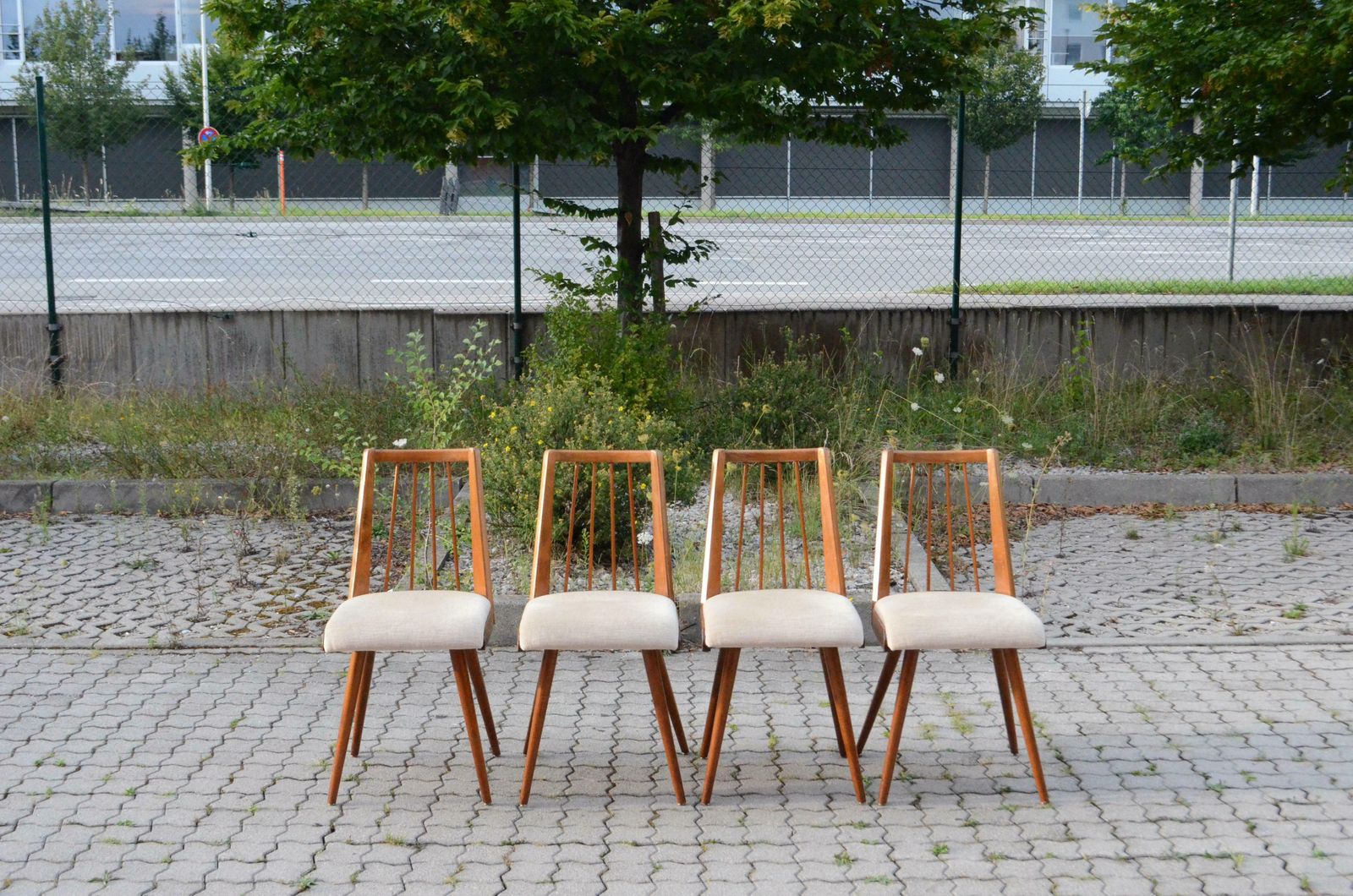 German 50ties Mid Century Dining Chair Set Of 4 photo furniture