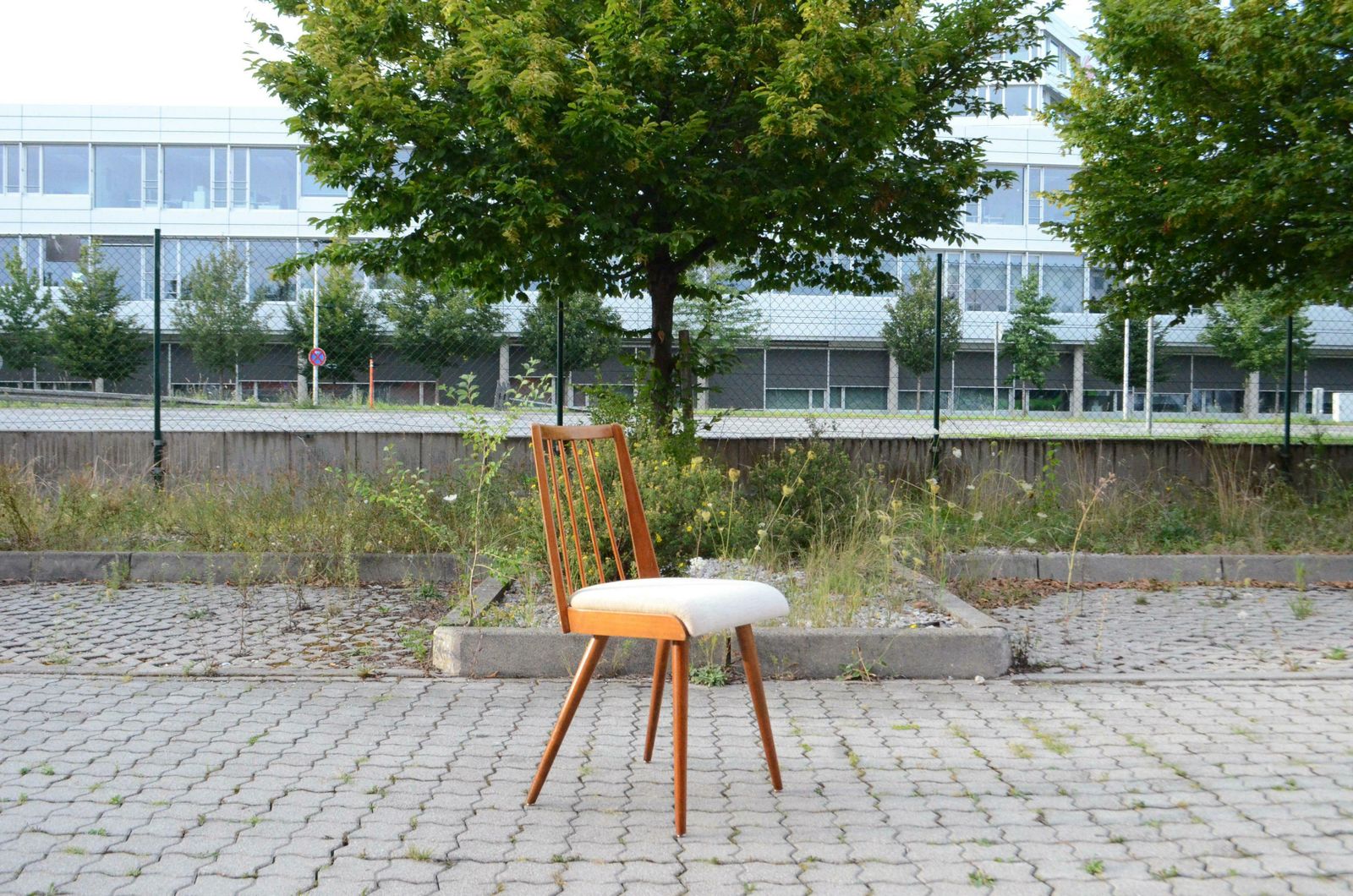 German 50ties Mid Century Dining Chair Set Of 4 photo buy