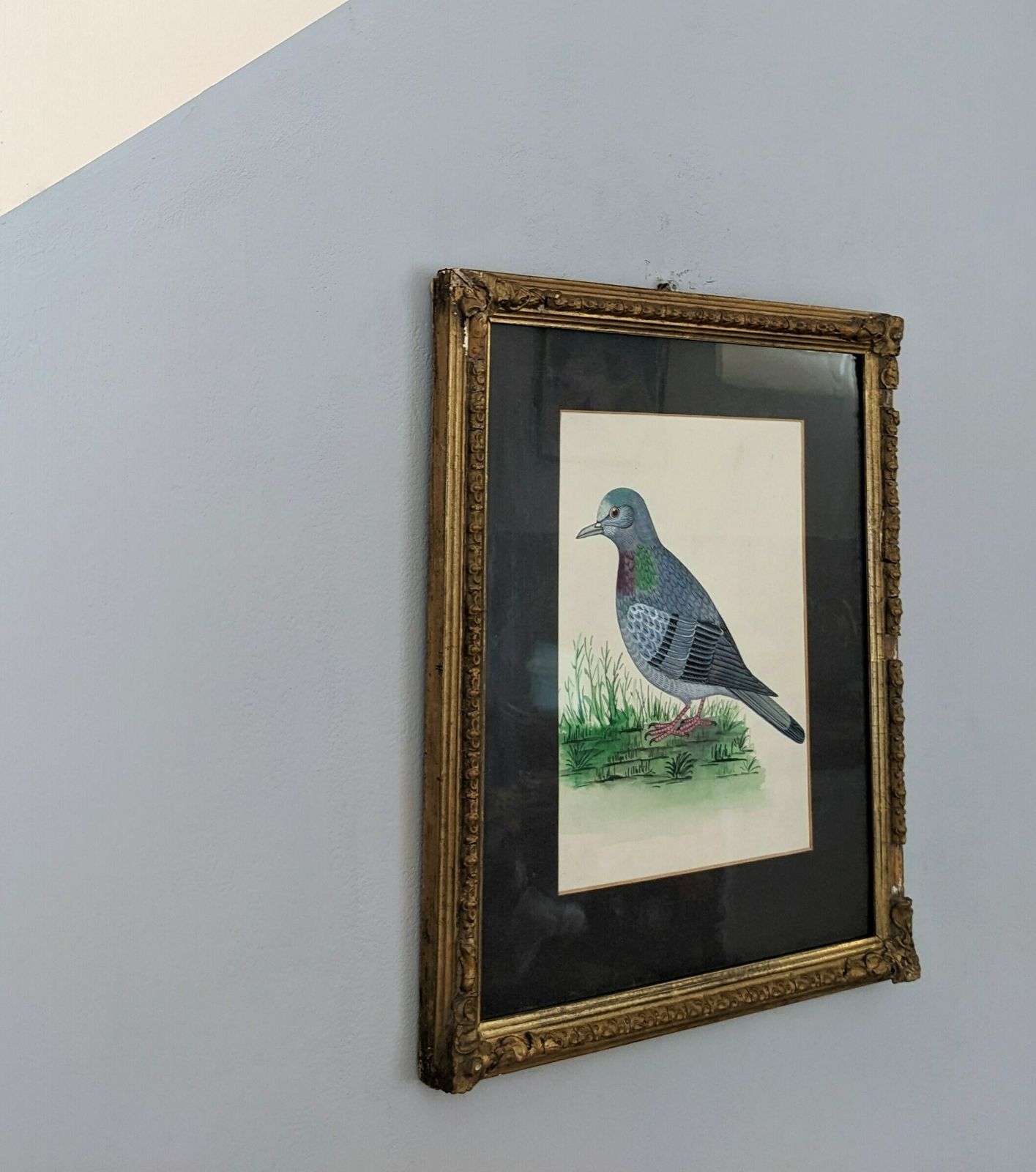 photo for sale A Fine Original Watercolour Painting Of A Pigeon In An Antique Gilt Frame, Vintage Bird Art
