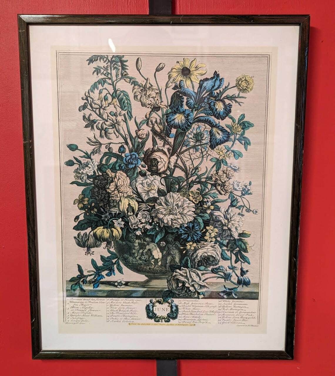 34 Flowers Of June Engraving By H. Fletcher