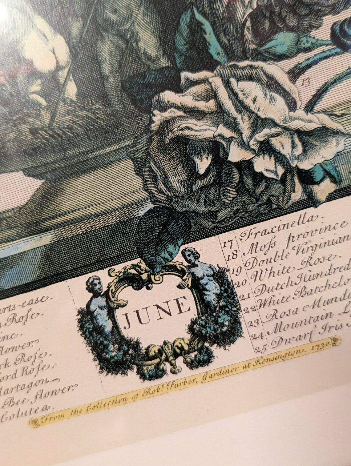 34 Flowers Of June Engraving By H. Fletcher photo furniture
