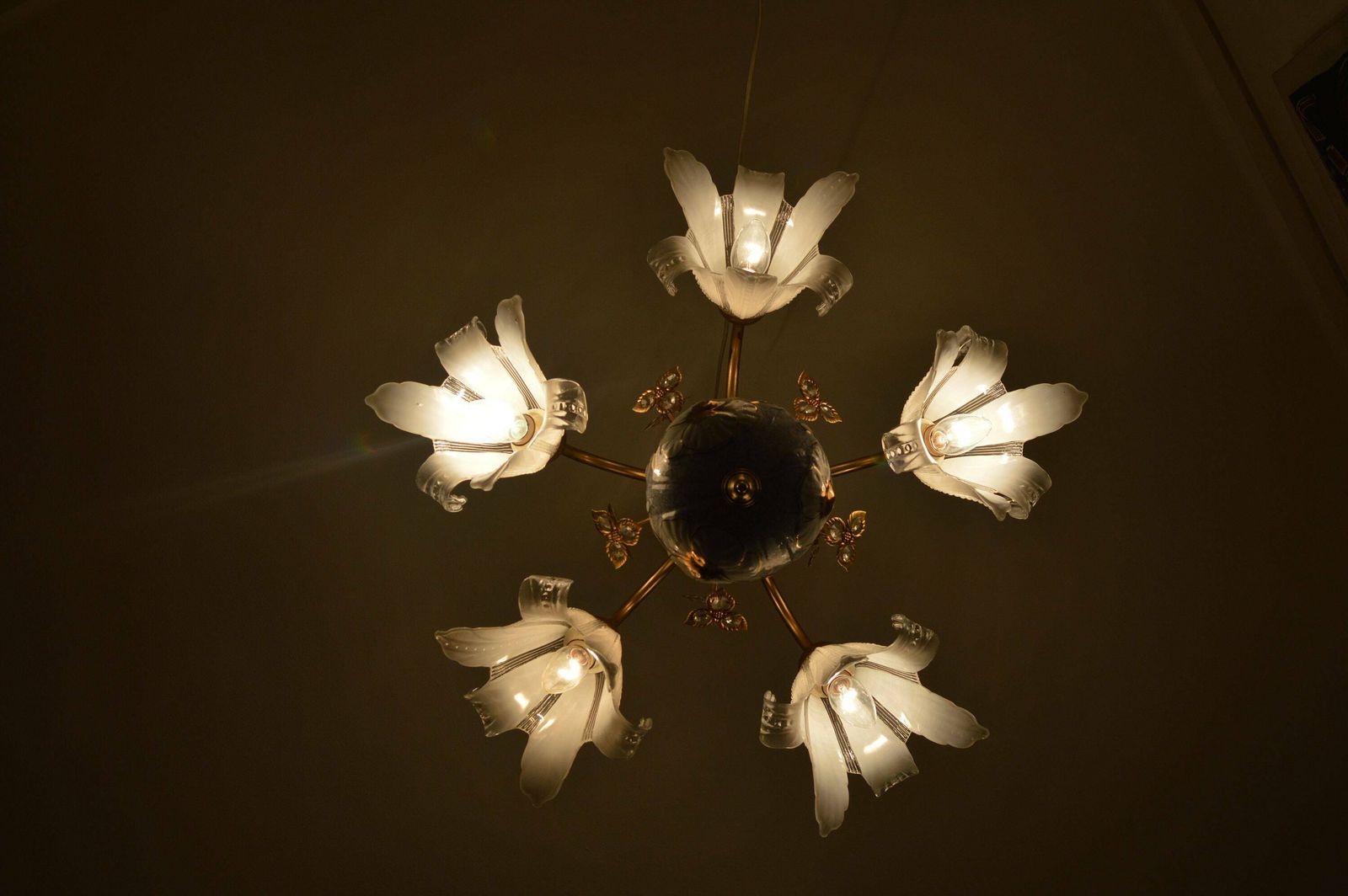 Vintage French Chandelier Mid Century photo Lighting