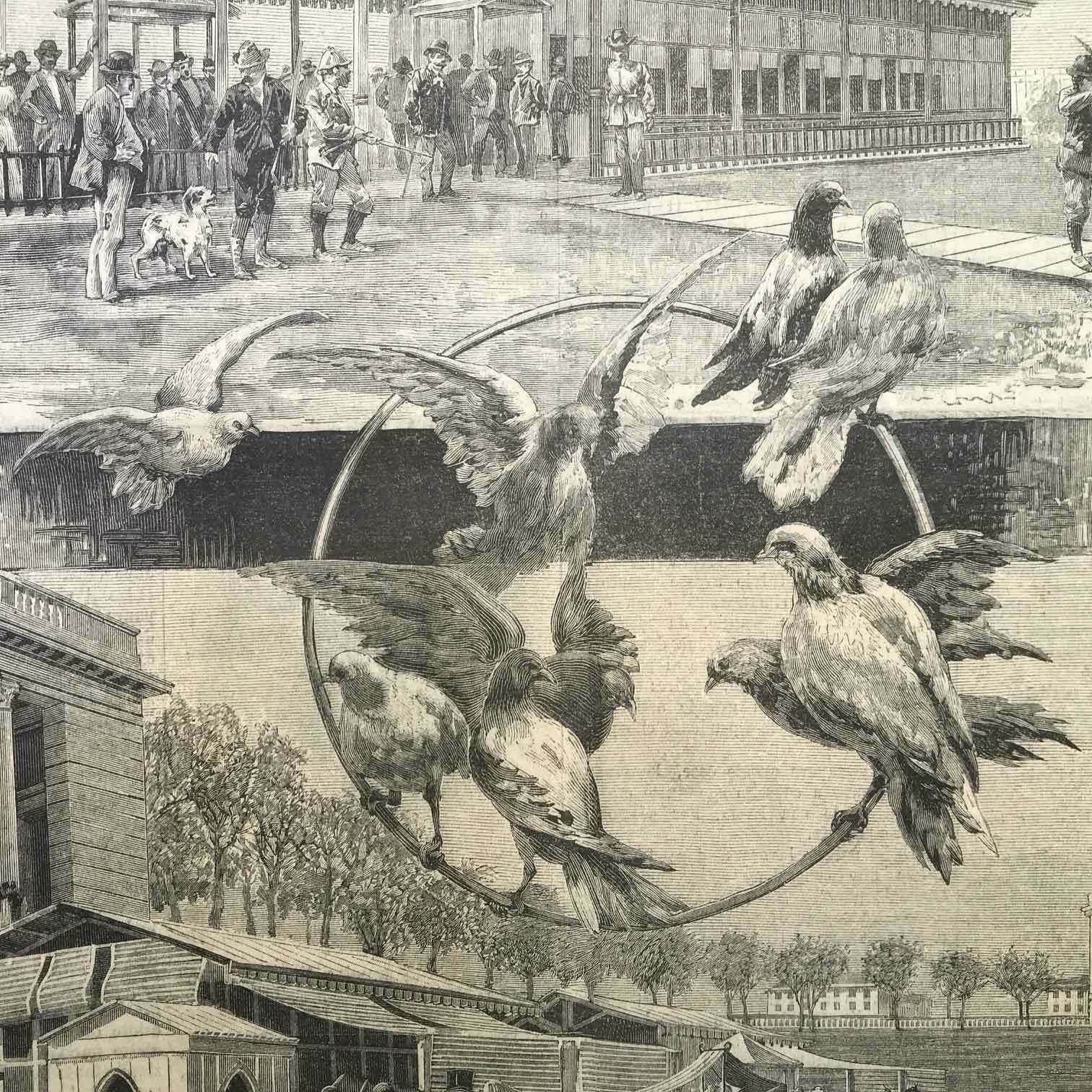 Antique Print On Skeet Shooting And Pigeon Shooting From 1893 photo for sale