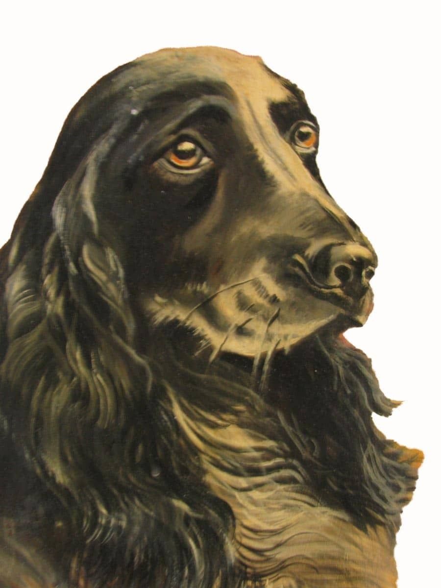 Portrait Of A Pair Of Cocker Spaniels photo Art