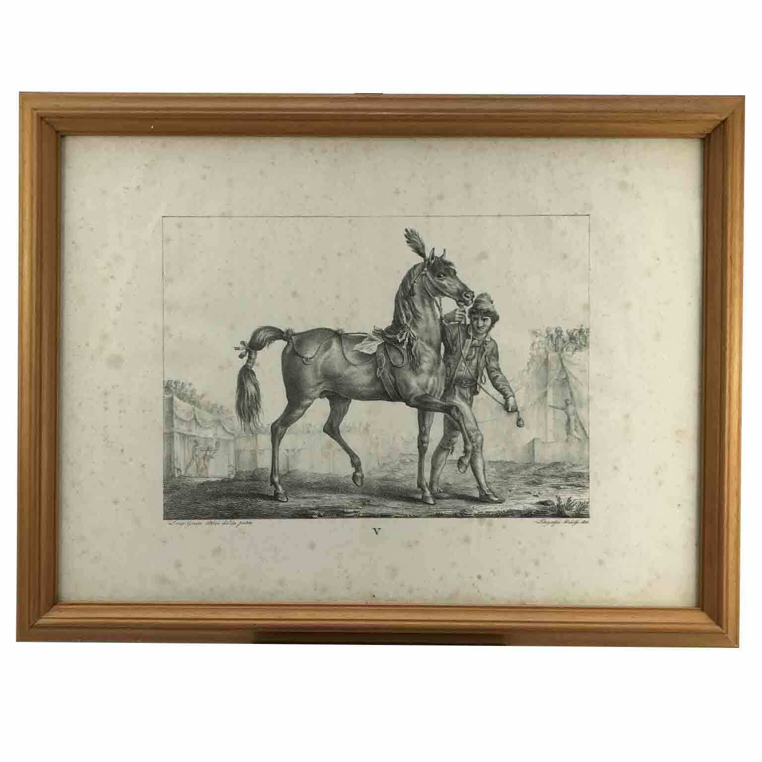 Luigi Giarré Horse Breeds Known In Europe Florence 1822 photo furniture