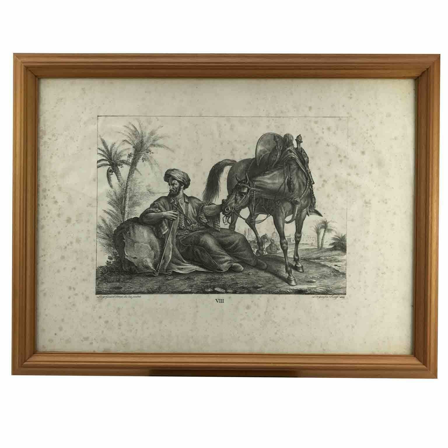 Luigi Giarré Horse Breeds Known In Europe Florence 1822 photo 3106.0
