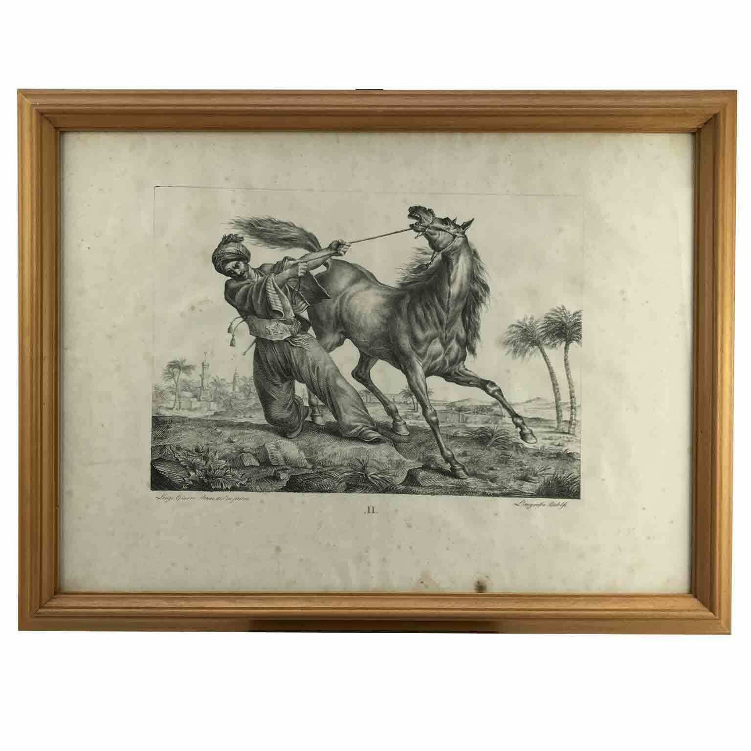 Luigi Giarré Horse Breeds Known In Europe Florence 1822 photo vinterior
