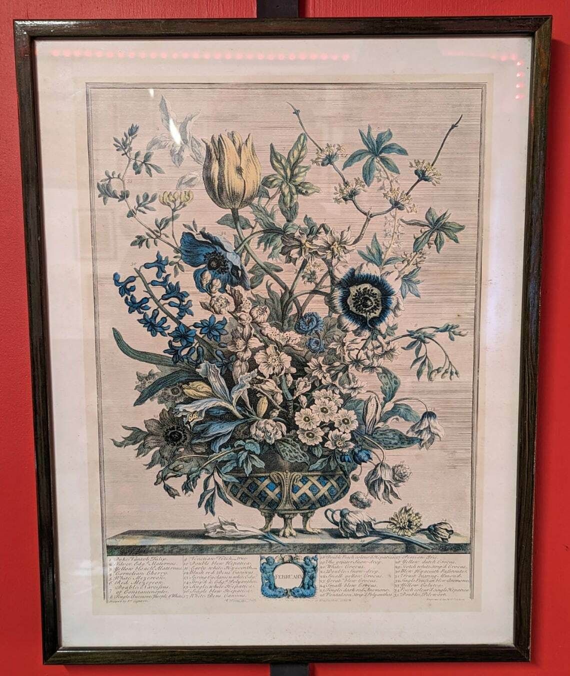 35 Flowers Of February Engraving By H. Fletcher