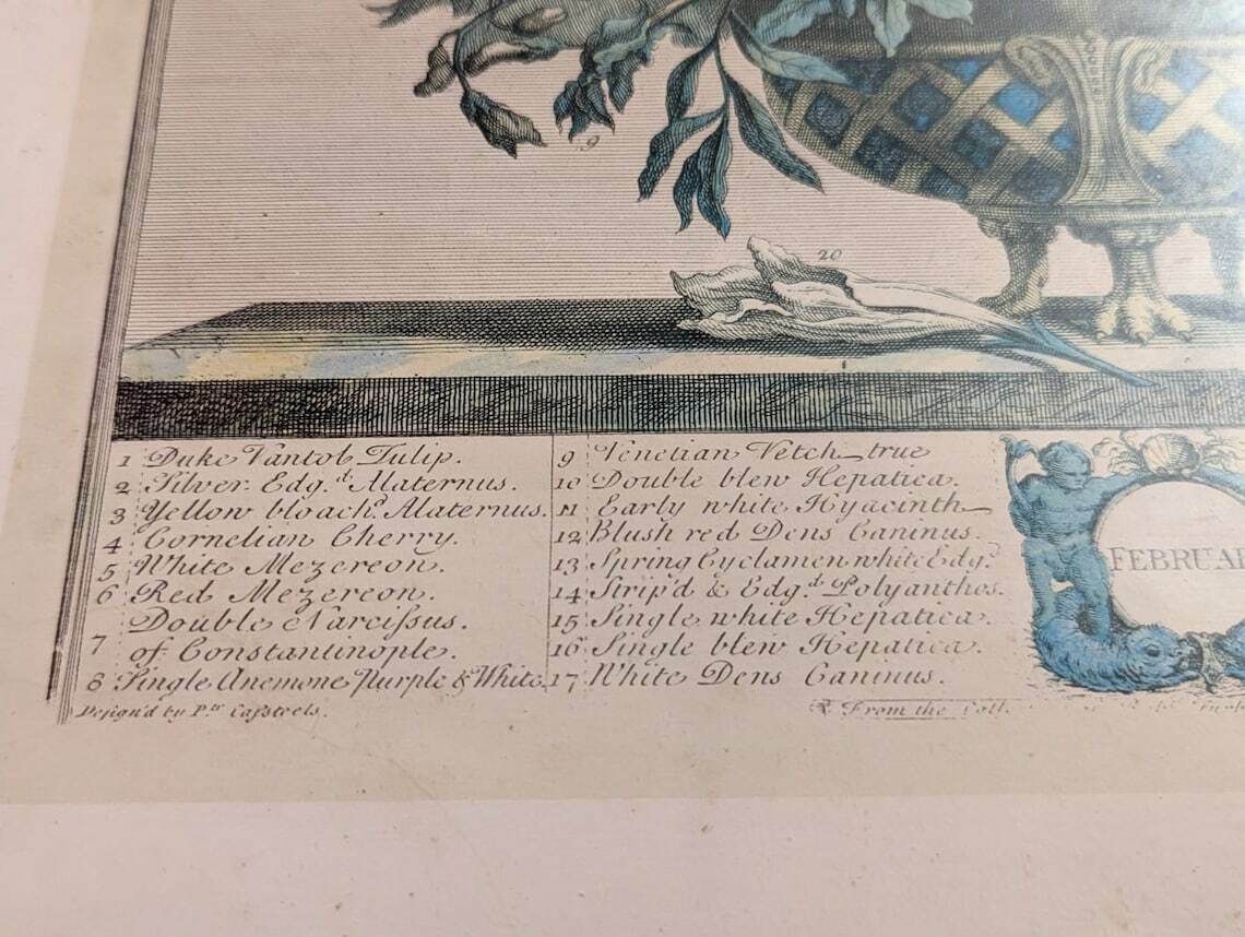35 Flowers Of February Engraving By H. Fletcher photo Art