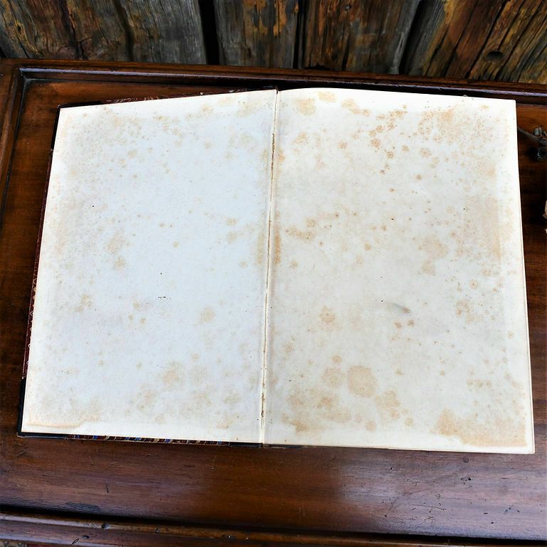 Antique 1881 The Welcome Monthly Magazine Chronical Half Leather Bound Book photo vintage