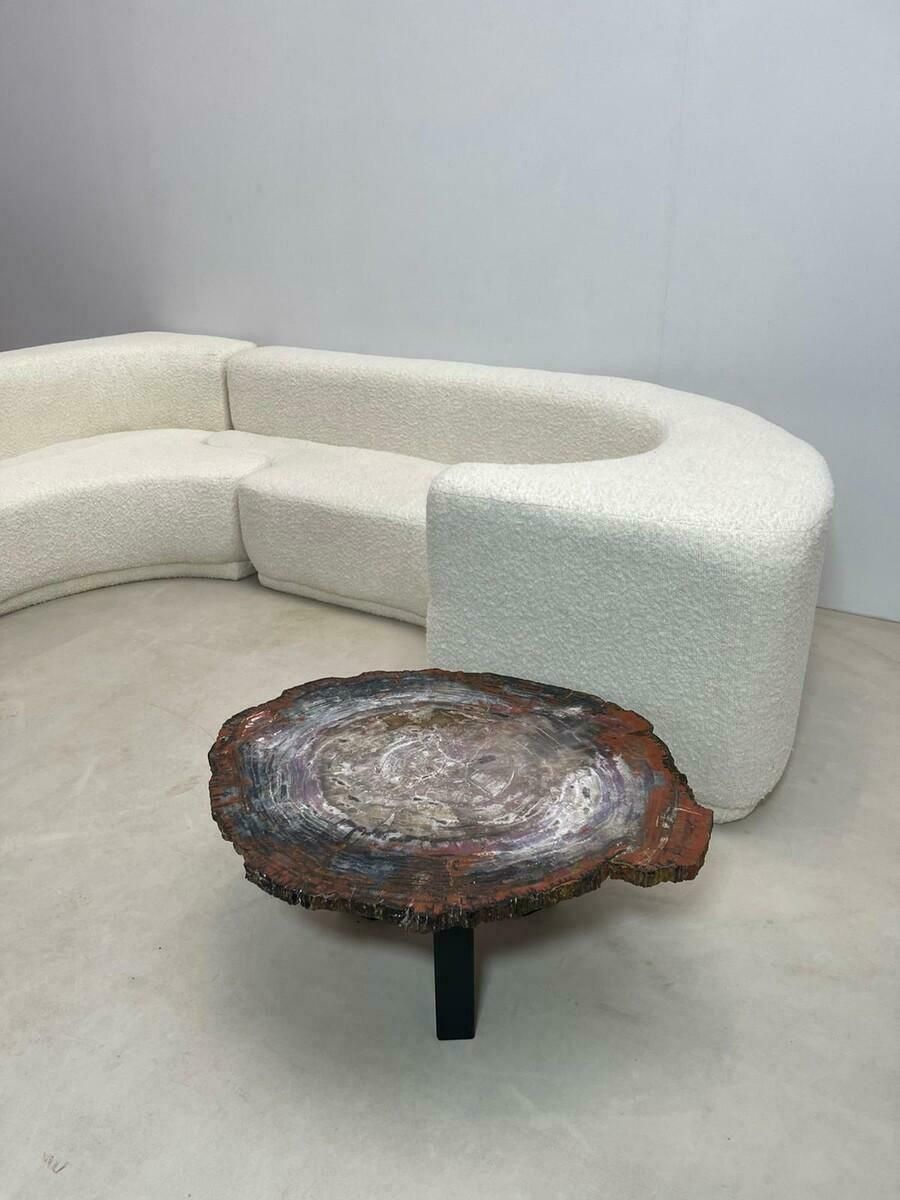 Mid Century Petrifiedwood Coffee Table, Belgium, 1970s photo vinterior