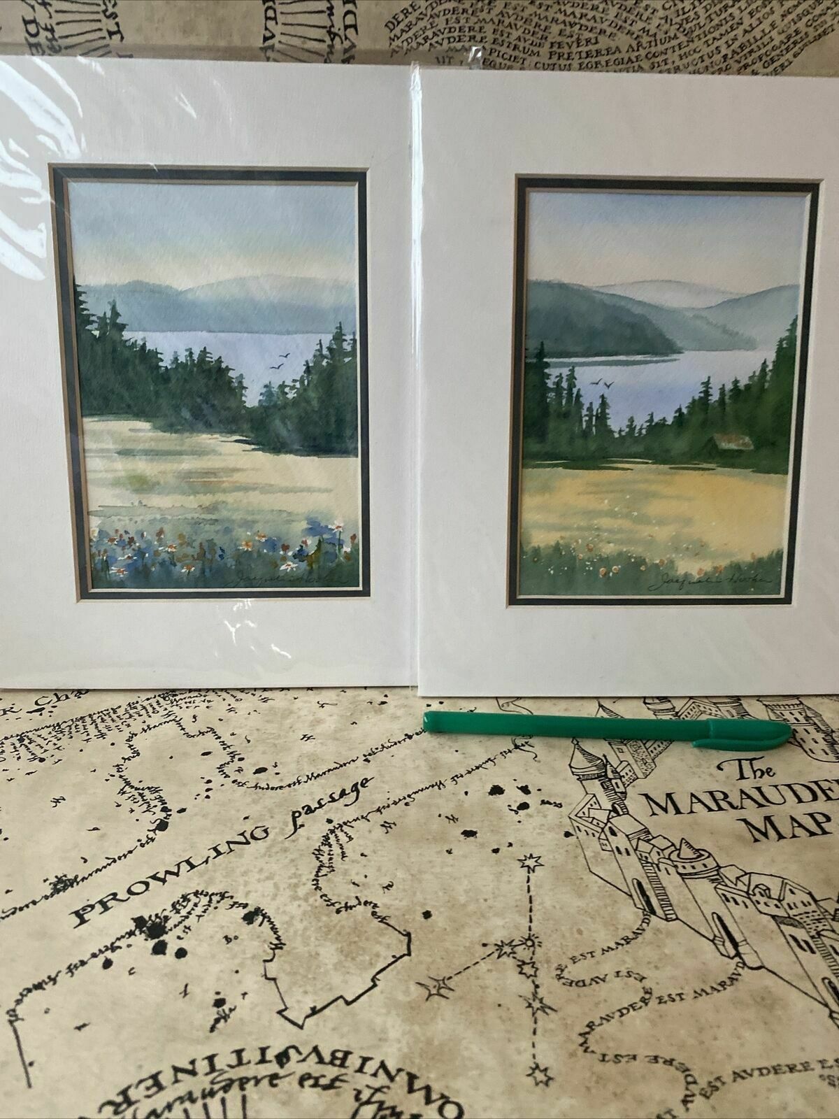 Original Watercolour By Jacqueline E Hooker X 2 Salt Spring Island Artist