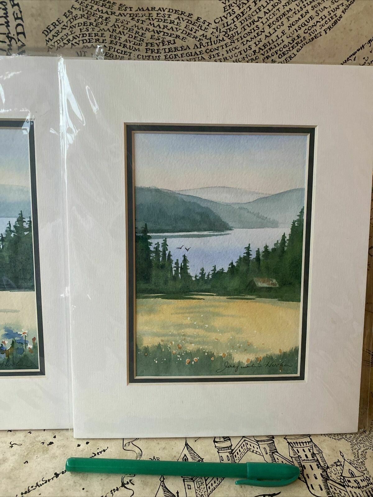 Original Watercolour By Jacqueline E Hooker X 2 Salt Spring Island Artist photo 149.0