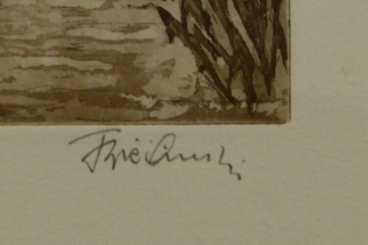 Aquatint Etching In Sepia Of Flying Ducks. Artist Unknown. photo for sale