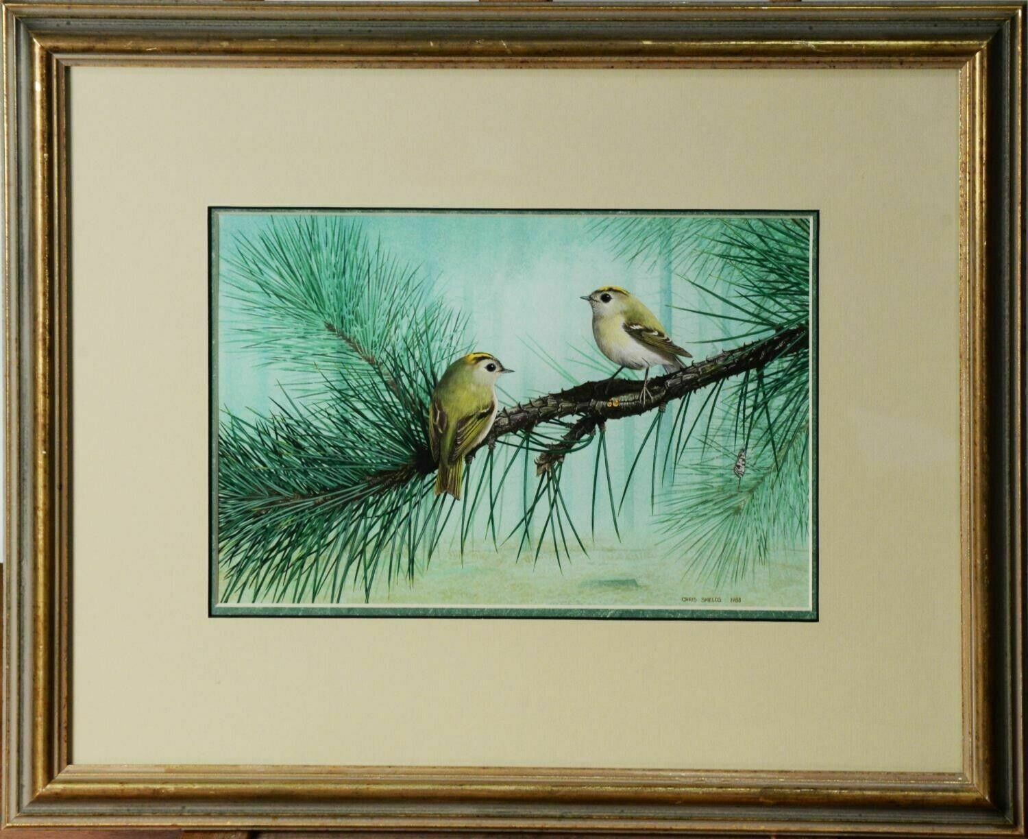 Signed Original Ornithology Gouache Painting Of Birds Chris Shields Goldcrests photo furniture