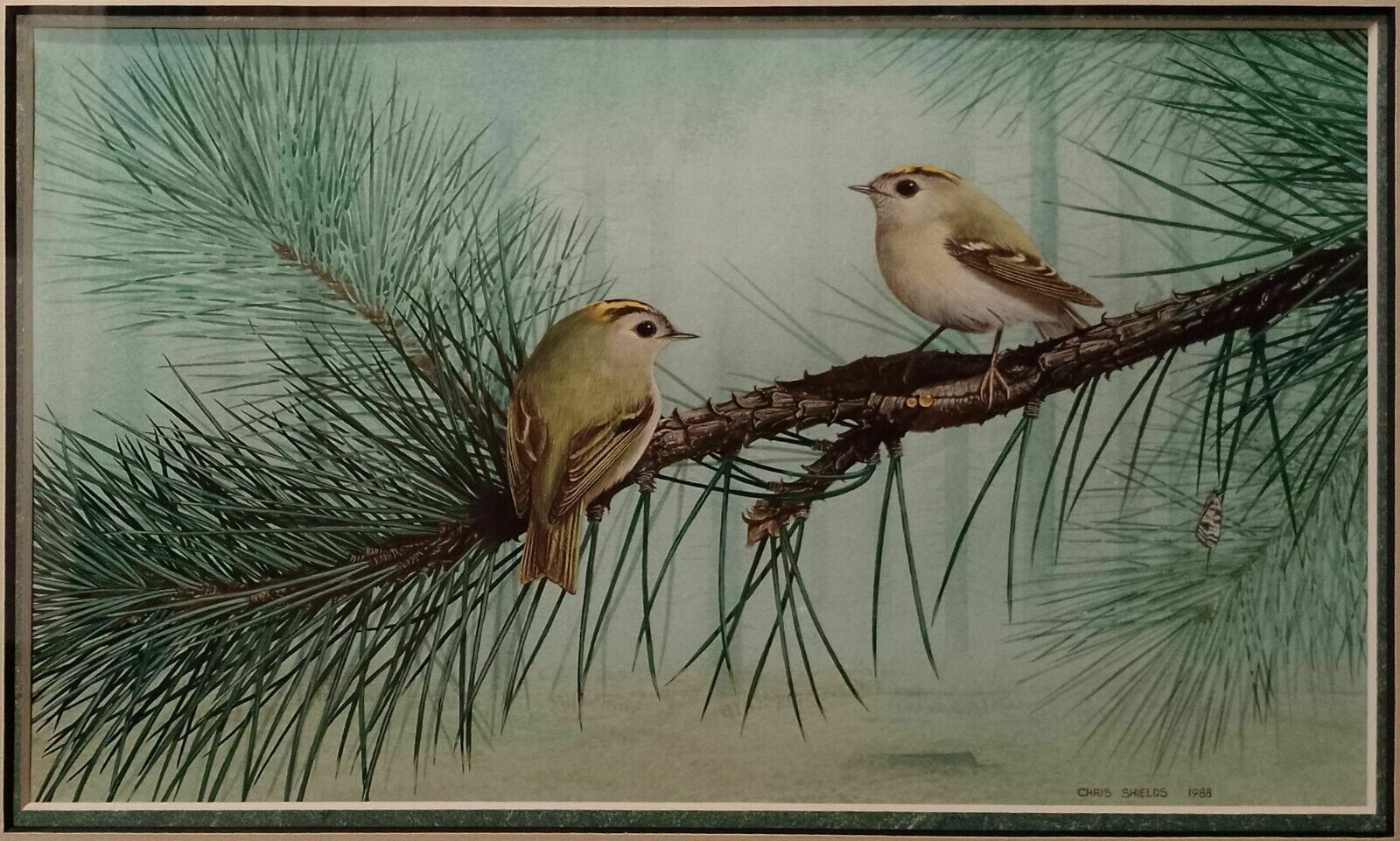 Signed Original Ornithology Gouache Painting Of Birds Chris Shields Goldcrests photo for sale