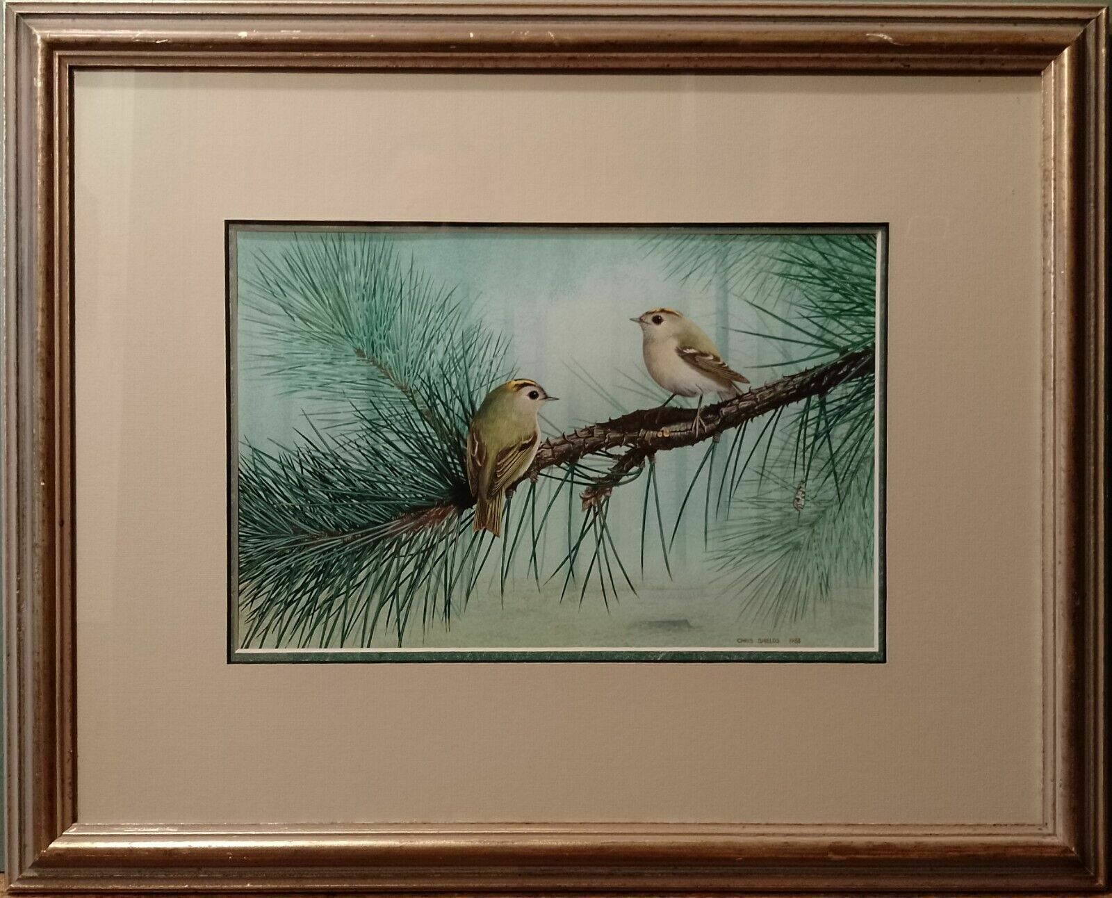 Art Signed Original Ornithology Gouache Painting Of Birds Chris Shields Goldcrests photo