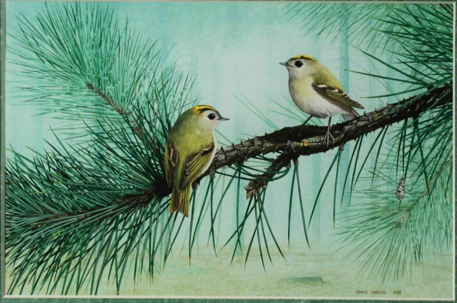 photo vinterior Signed Original Ornithology Gouache Painting Of Birds Chris Shields Goldcrests