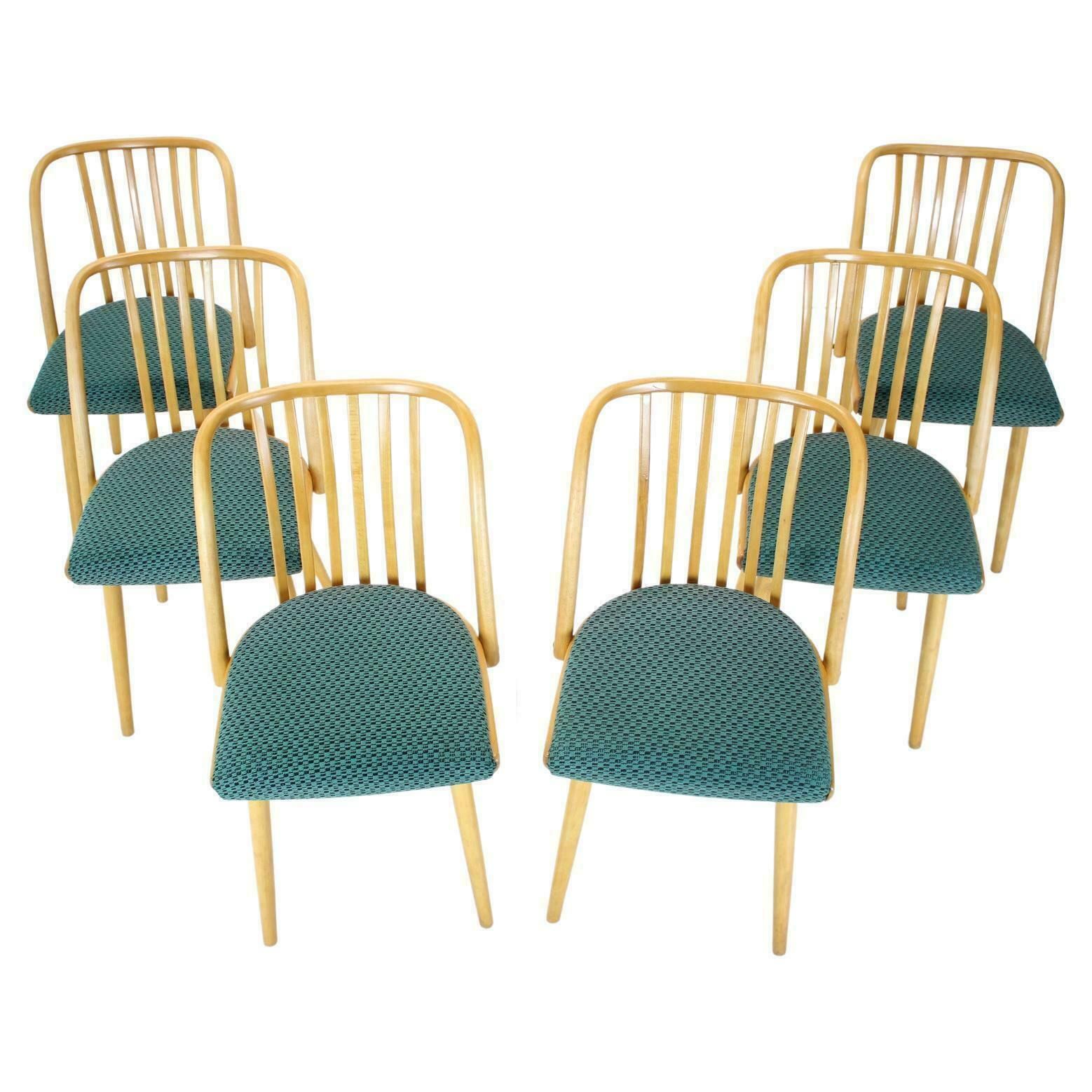 1960s Antonin Suman Set Of Six Dining Chairs Czechoslovakia