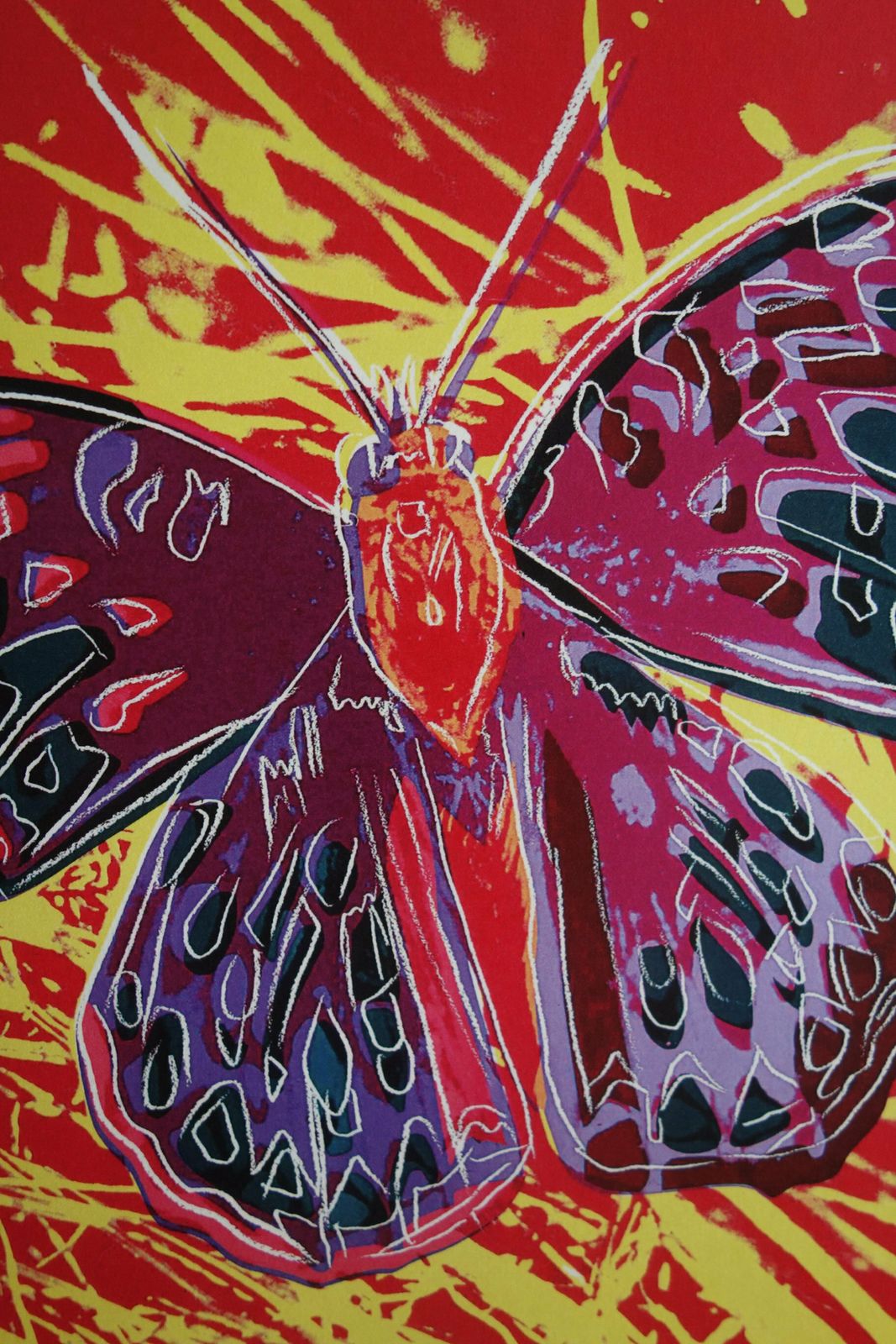 Fine Pop Art Limited Edition Print   Animal Series   Butterfly, Andy Warhol, Signed & Numbered photo for sale