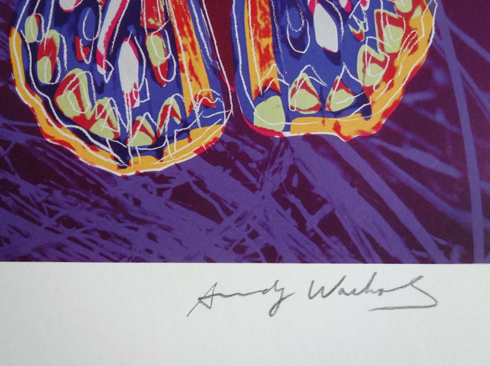 Fine Pop Art Limited Edition Print   Animal Series   Butterfly, Andy Warhol, Signed & Numbered photo for sale