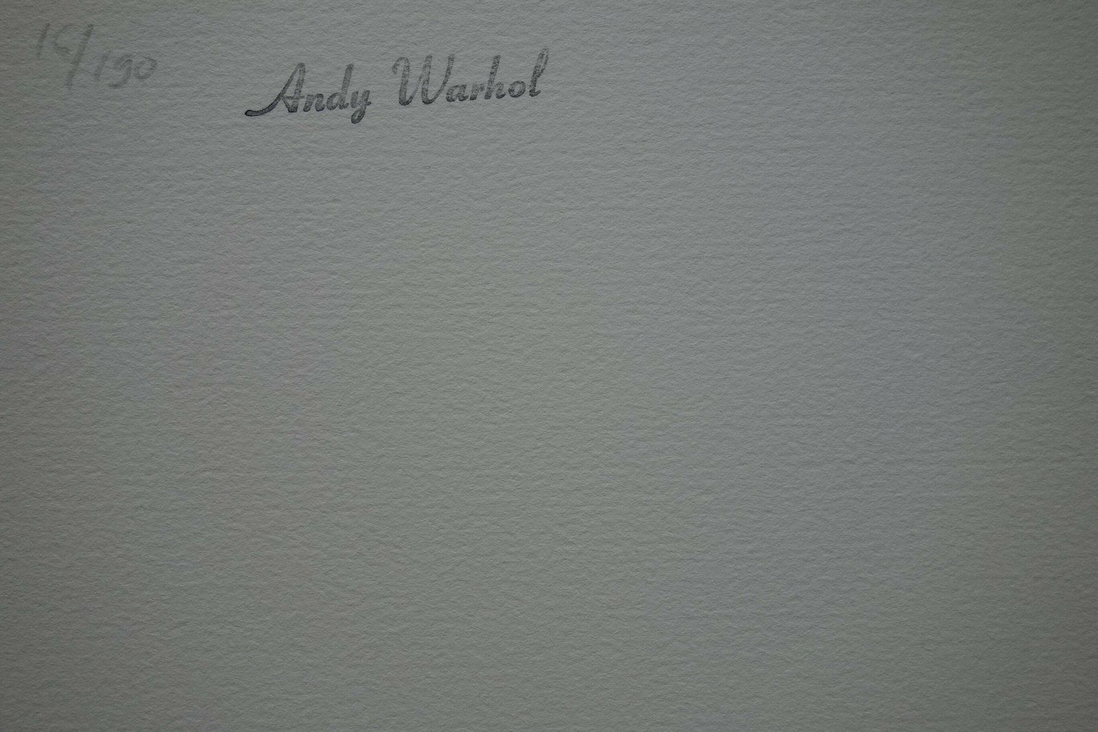 Fine Pop Art Limited Edition Print   Illustration   Cat, Andy Warhol, Signed & Numbered photo Art