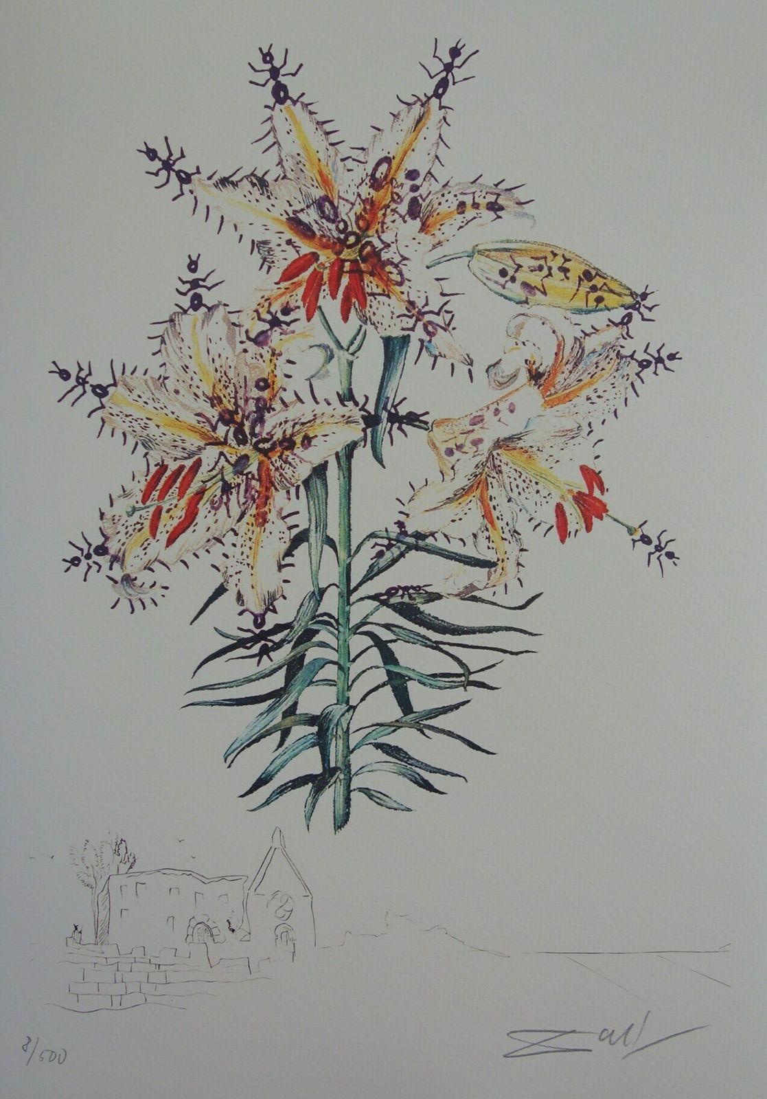 Fine Surrealist Limited Edition Print, Surreal Flower, Salvador Dali, Signed & Numbered In Pencil photo vinterior